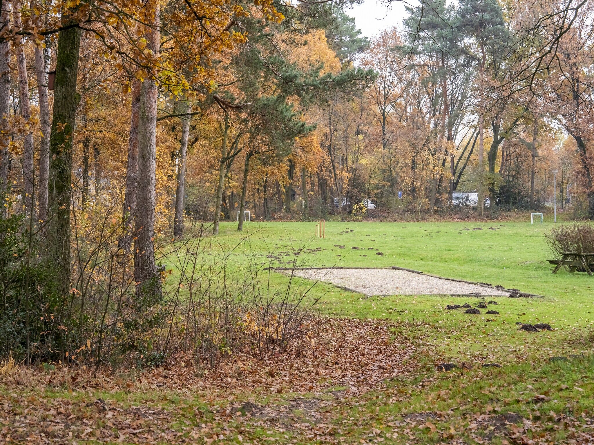 De tuin van Vosseven 73 Maretak in Stramproy