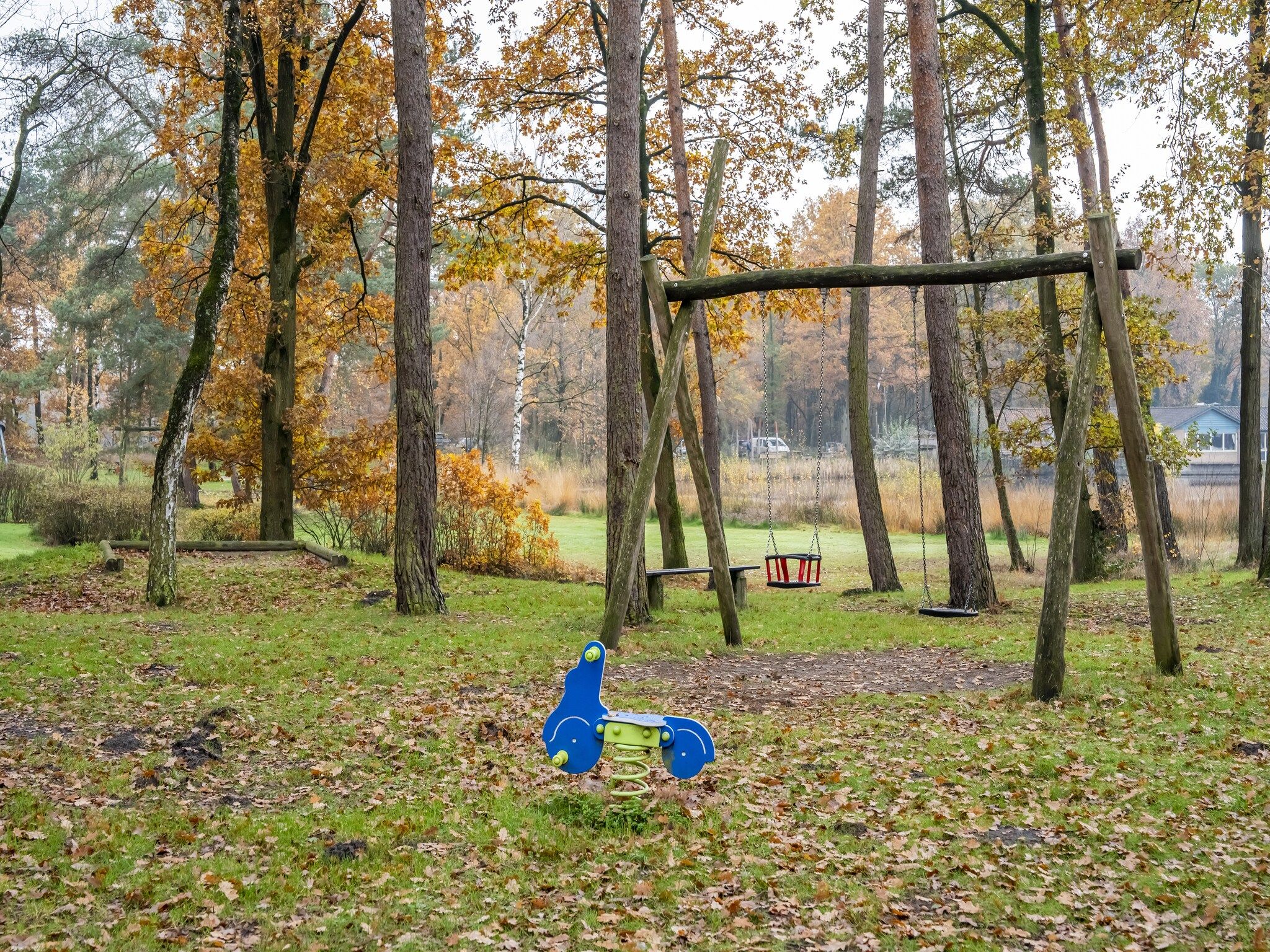 De tuin van Vosseven 73 Maretak in Stramproy