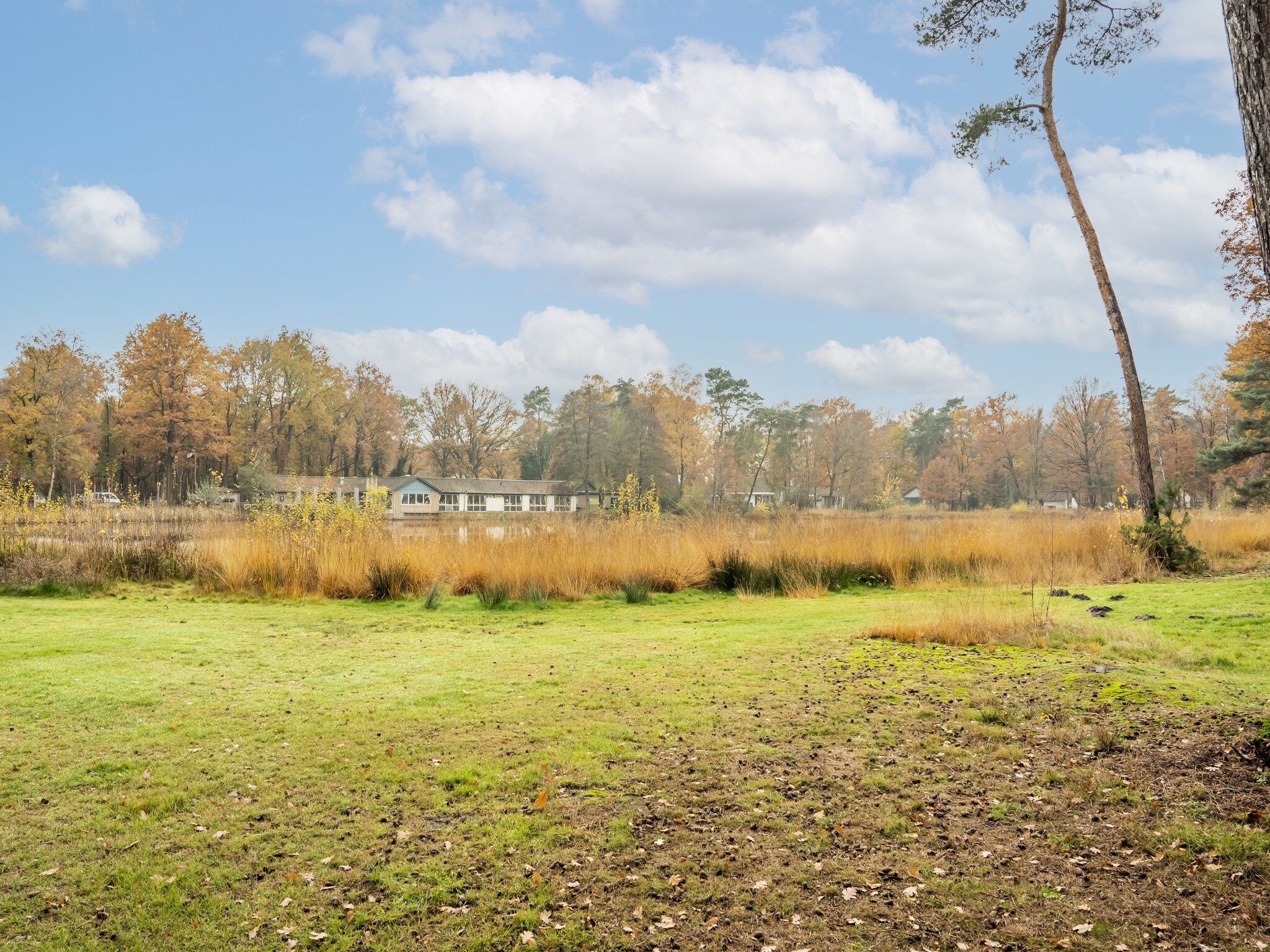 De omgeving van Vosseven 73 Maretak in Stramproy