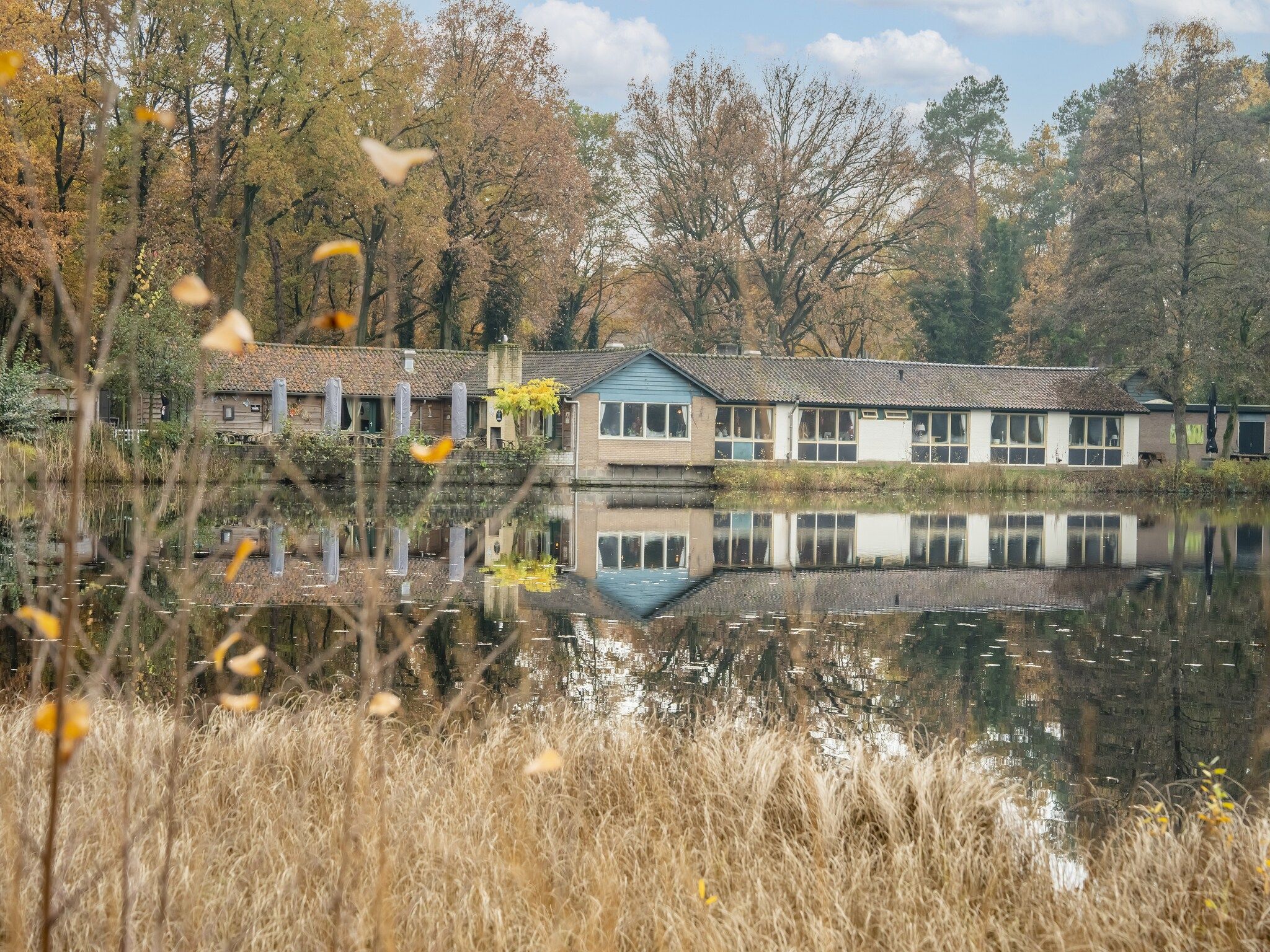 De omgeving van Vosseven 73 Maretak in Stramproy