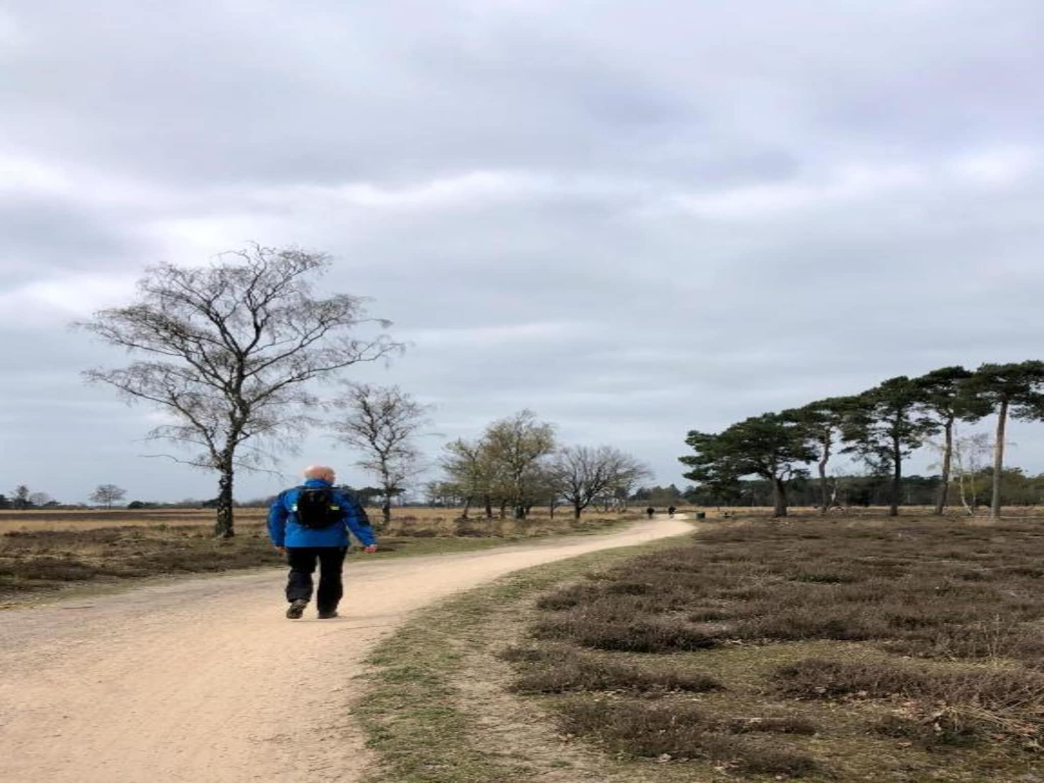 De omgeving van Bospark 't Wolfsven 15 in Mierlo