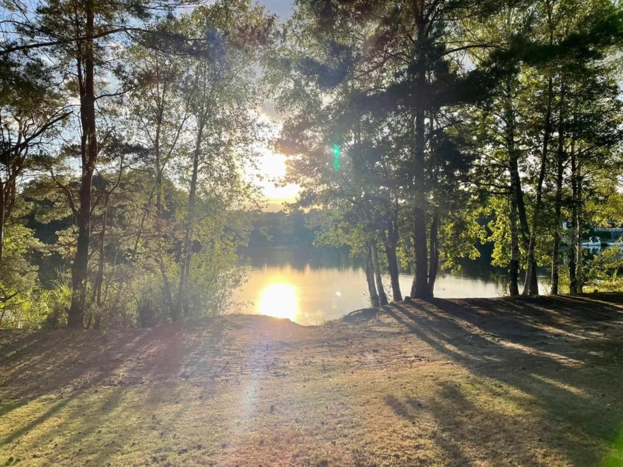 De omgeving van Bospark 't Wolfsven 15 in Mierlo