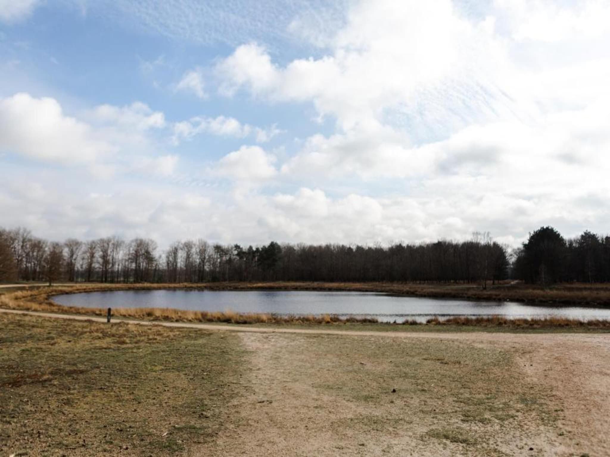 De omgeving van Bospark 't Wolfsven 17 in Mierlo