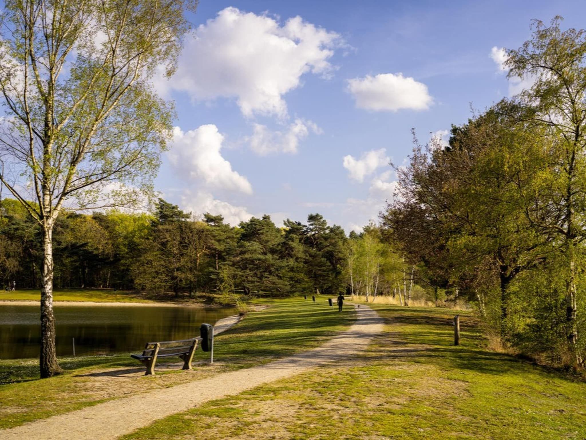 Parkfaciliteiten bij Bospark 't Wolfsven 17 in Mierlo