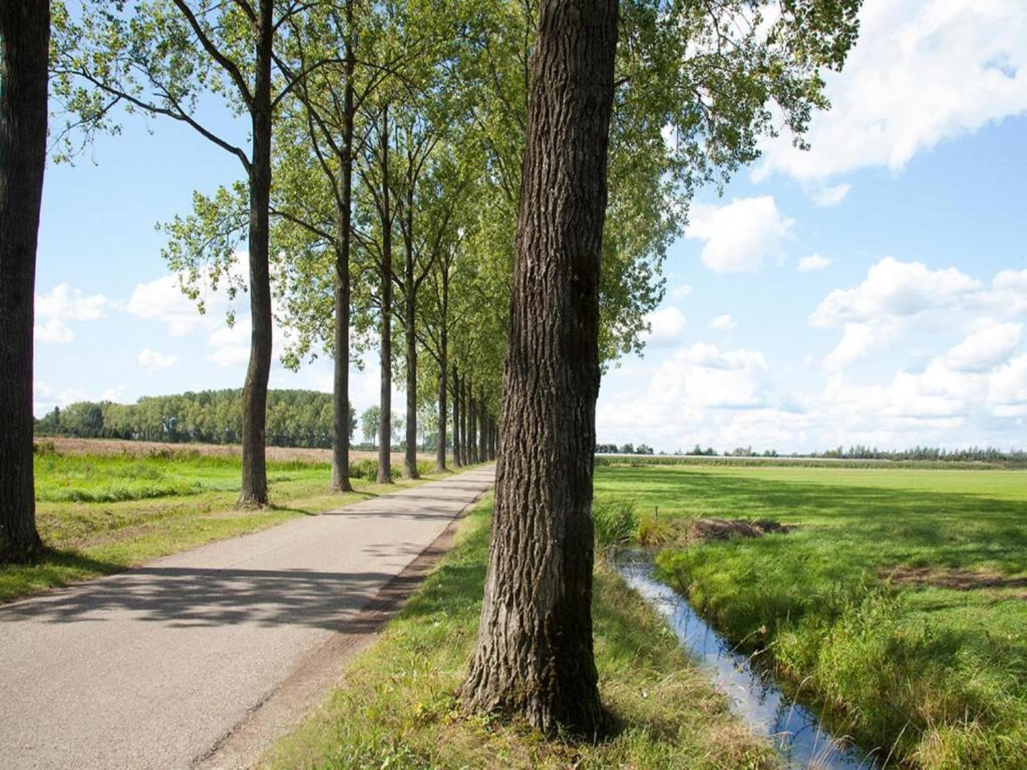 De omgeving van MarinaPark Bad Nederrijn 5 in Maurik
