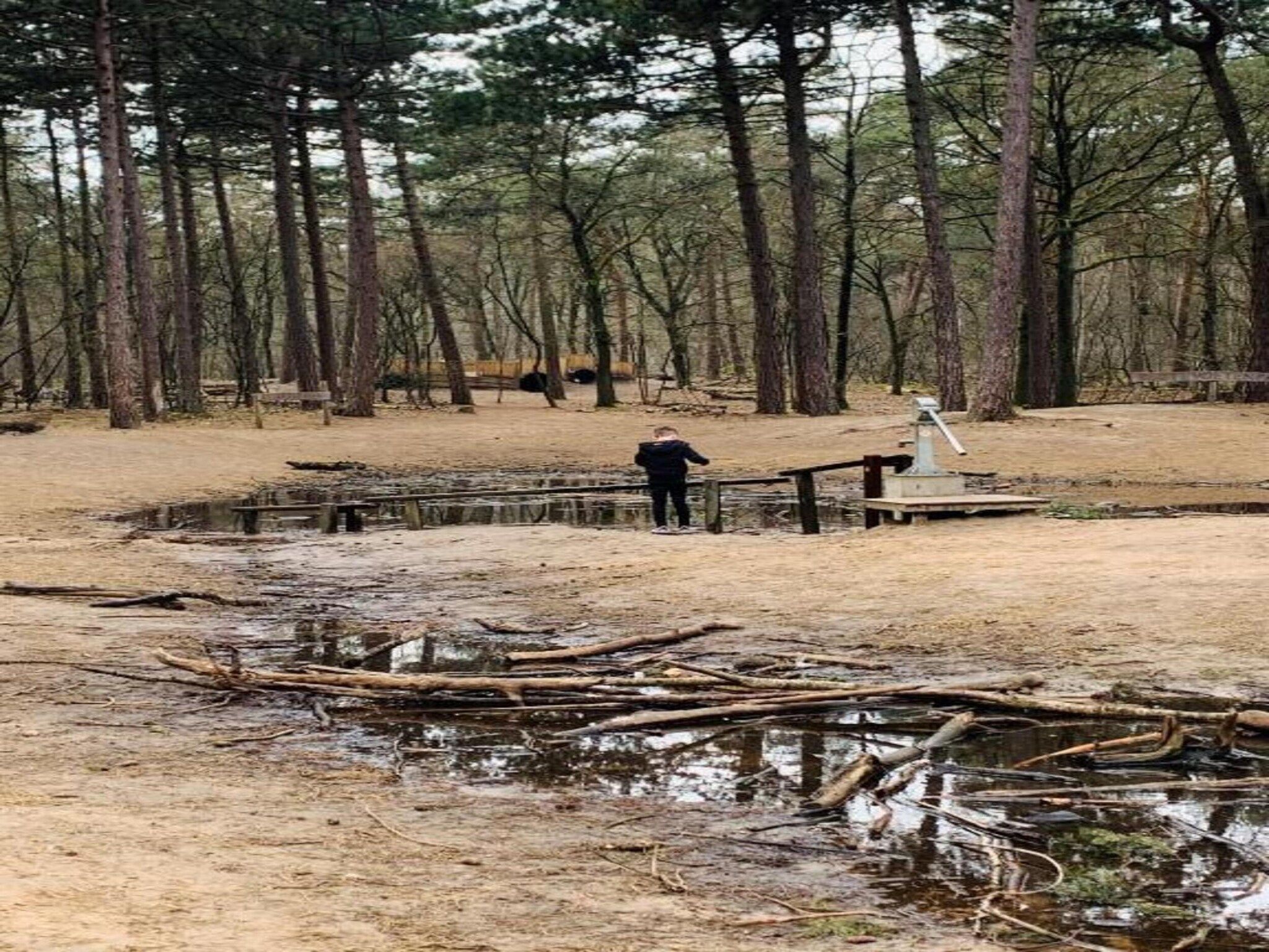 De omgeving van Vakantiepark Schaijk 9 in Schaijk