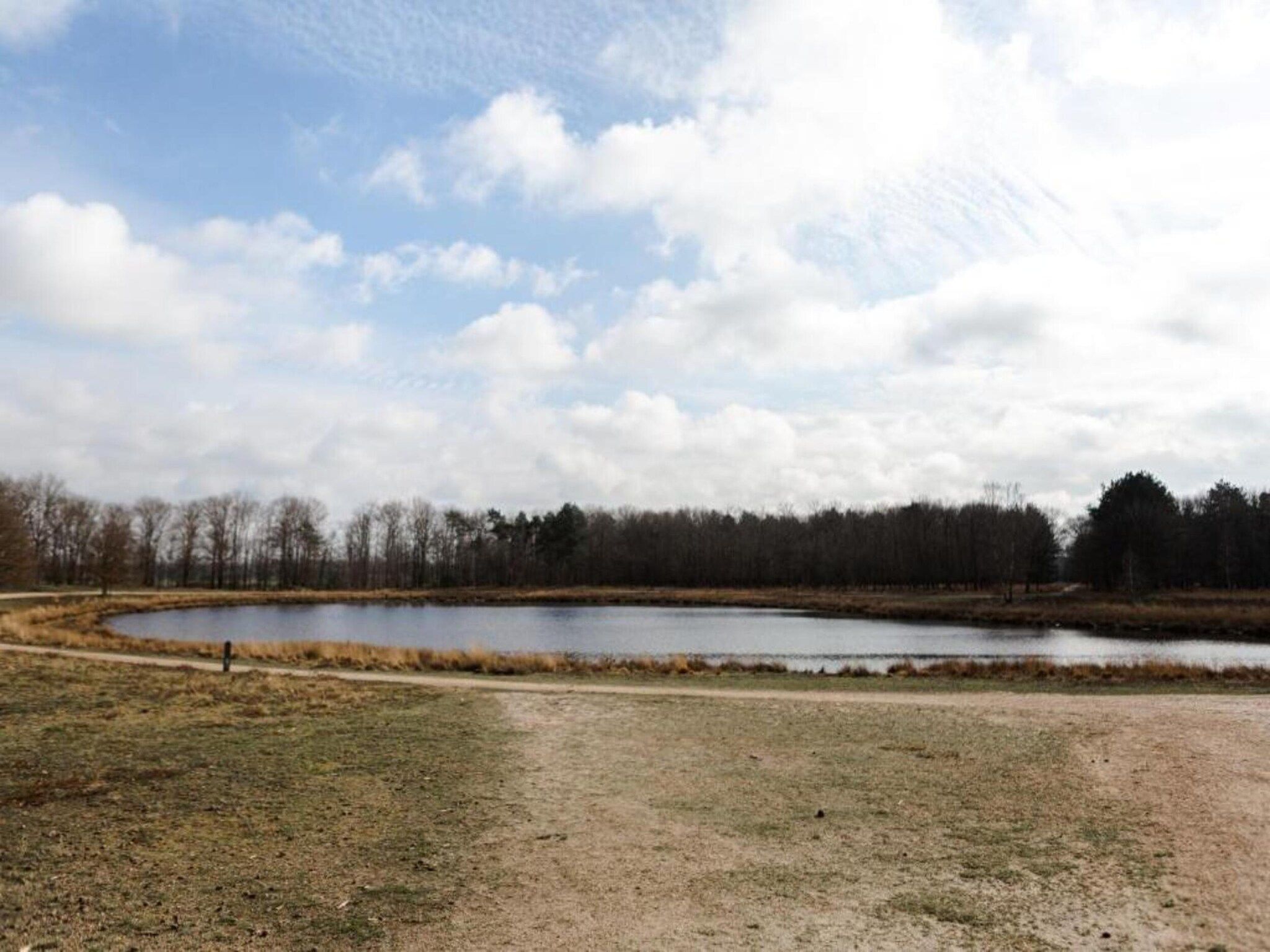 De omgeving van Bospark 't Wolfsven 18 in Mierlo
