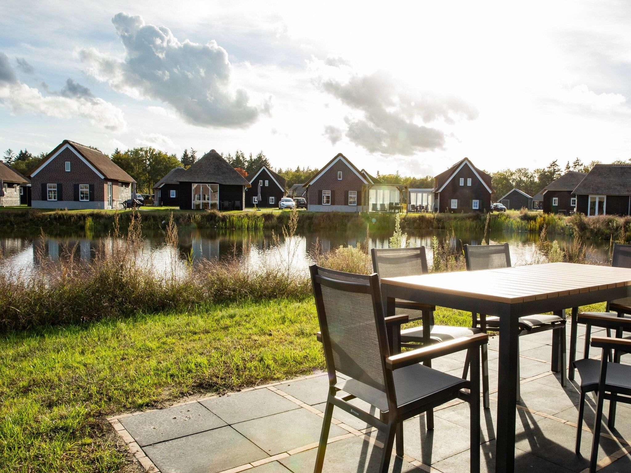 Vakantiepark De Heihorsten 8 in Someren - Foto 10 van 40
