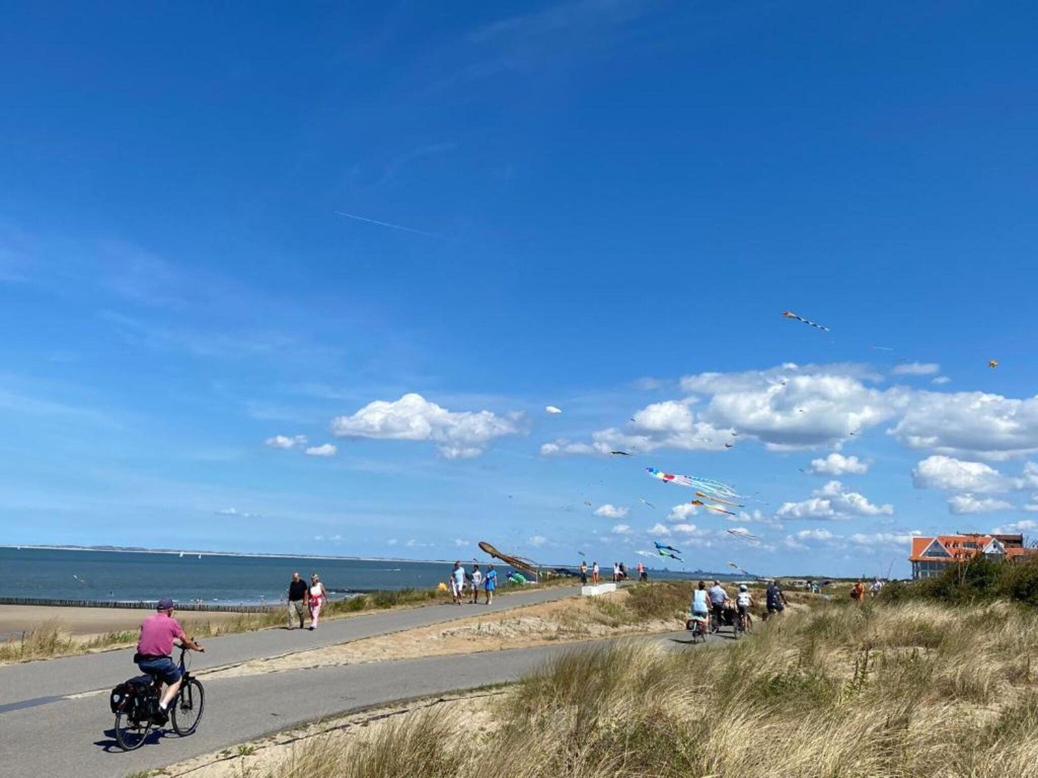 De omgeving van Vakantiepark Zeebad 19 in Breskens