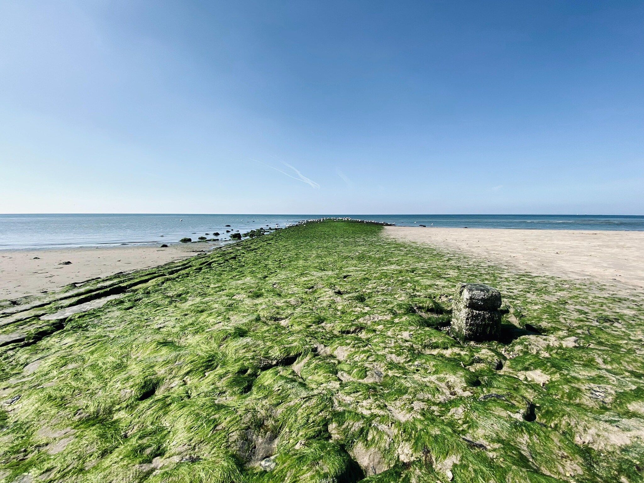 De omgeving van INFINITY in Callantsoog