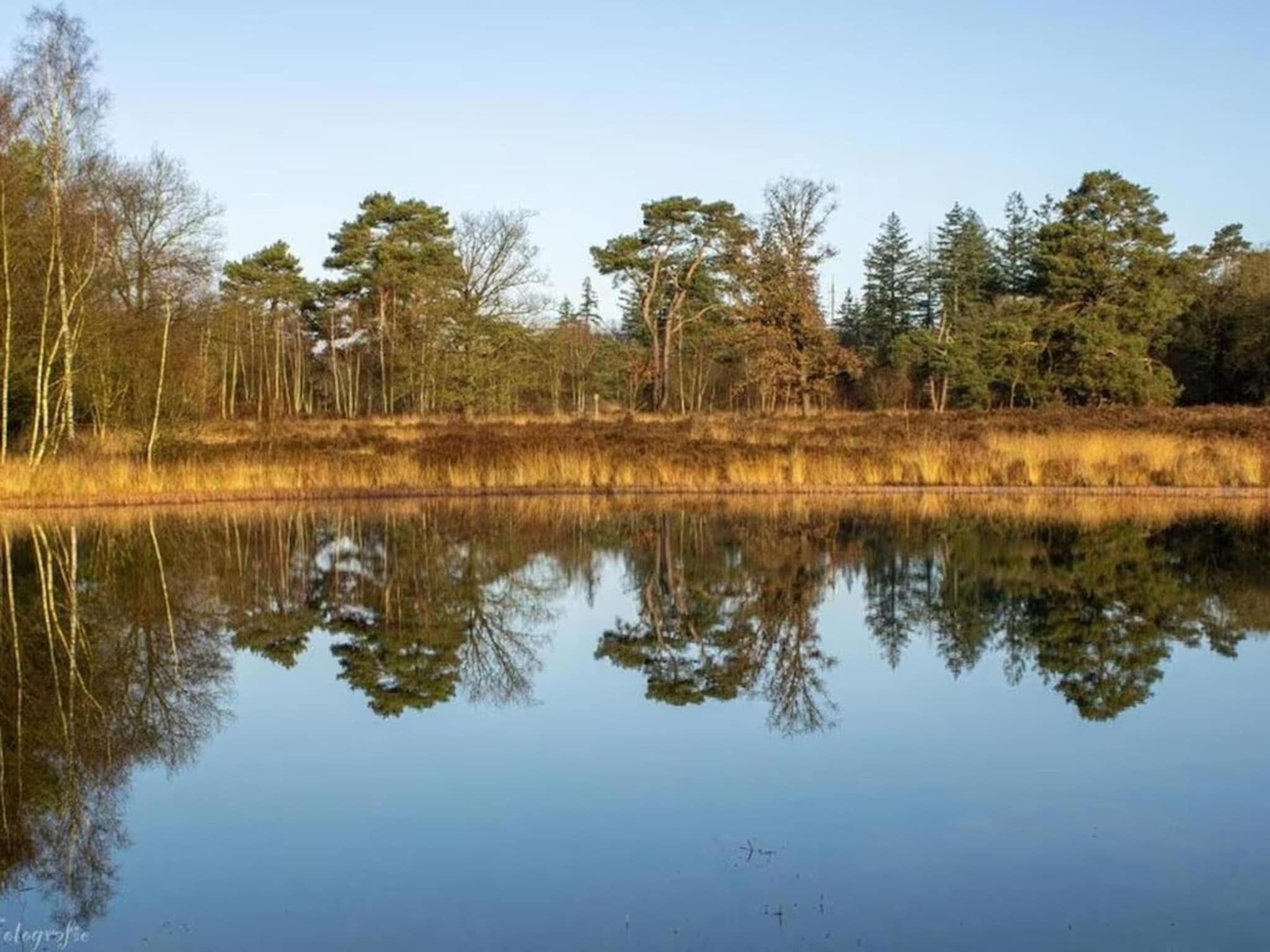 De omgeving van Hulshorsterhout in Hulshorst