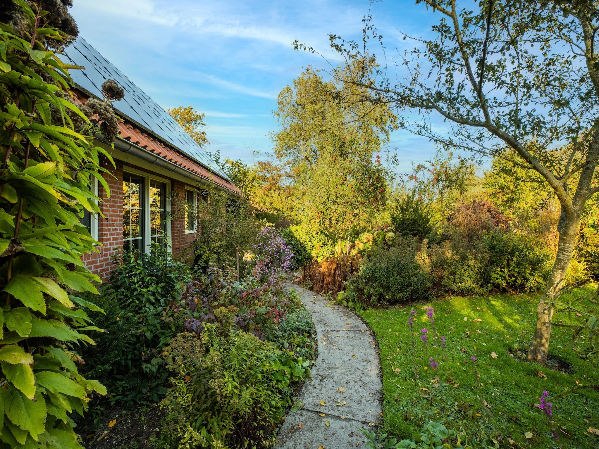 De tuin van Vakantiewoning Wijnaldum in Wijnaldum