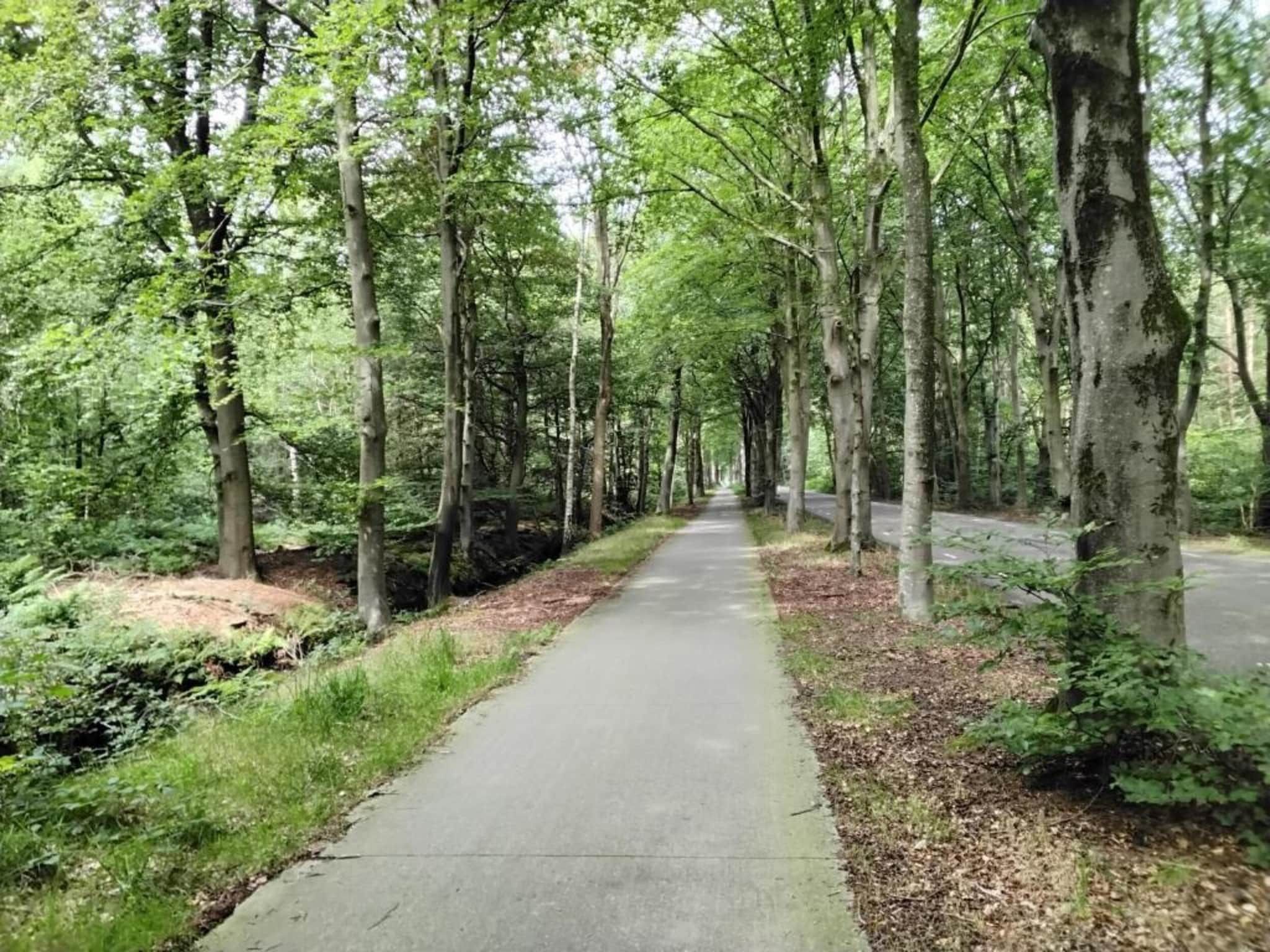 Recreatiepark Idskenhuizen 4 in Idskenhuizen - Foto 28 van 40