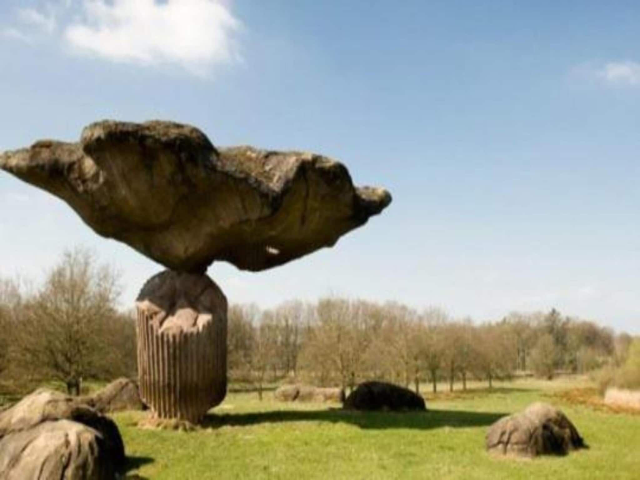 Buitenplaats Gerner 8 in Dalfsen - Foto 35 van 40
