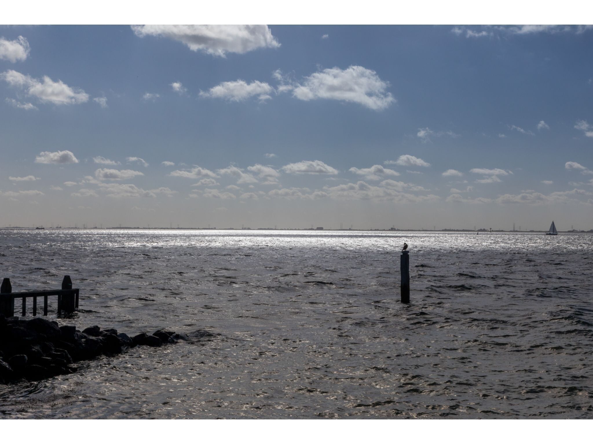 Sfeerbeeld van De Zeester Gorishoeksedijk 41 in Scherpenisse