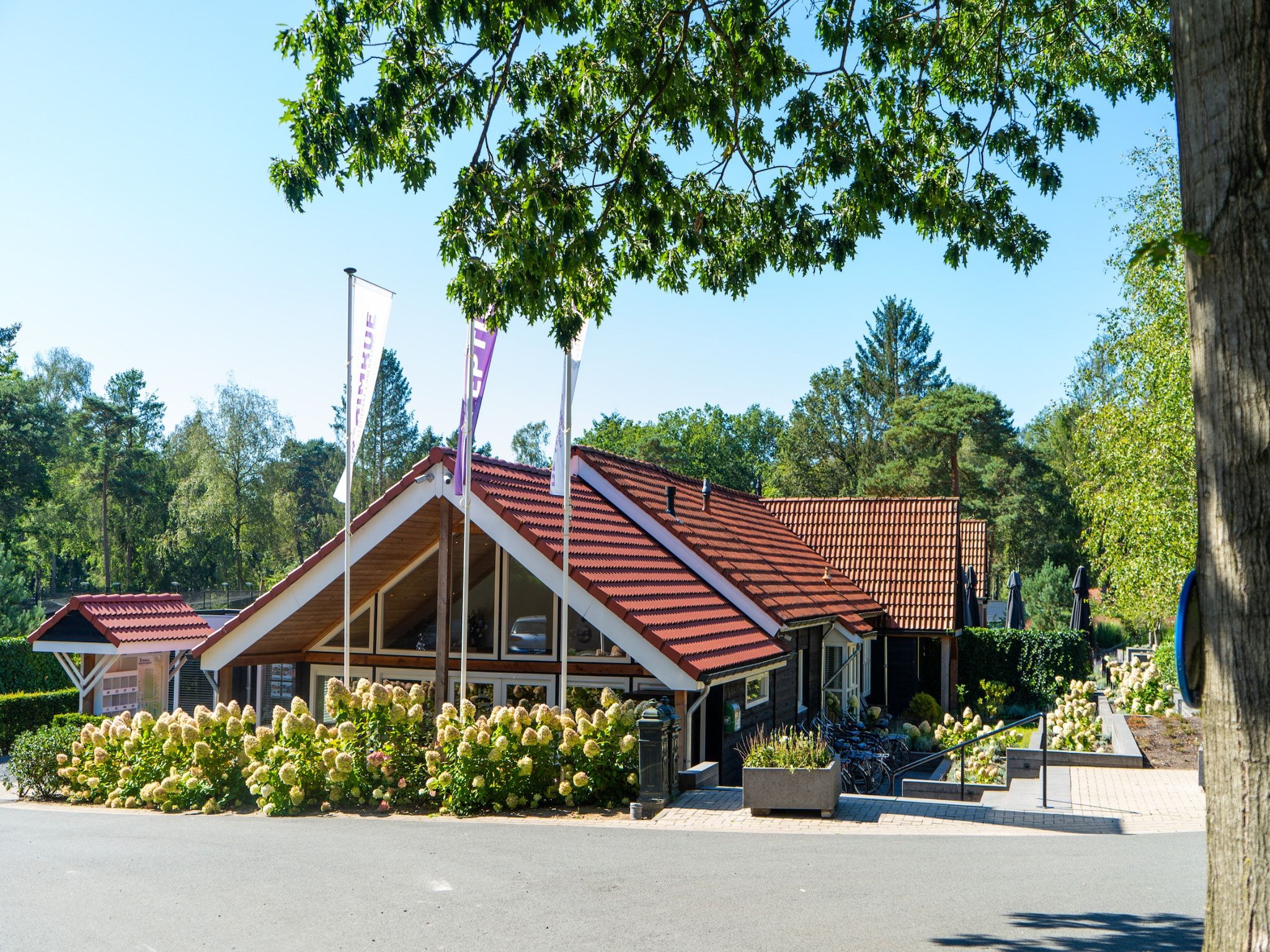 Parkfaciliteiten bij Vakantiepark De Rimboe & De Woeste Hoogte 39 in Hoenderloo