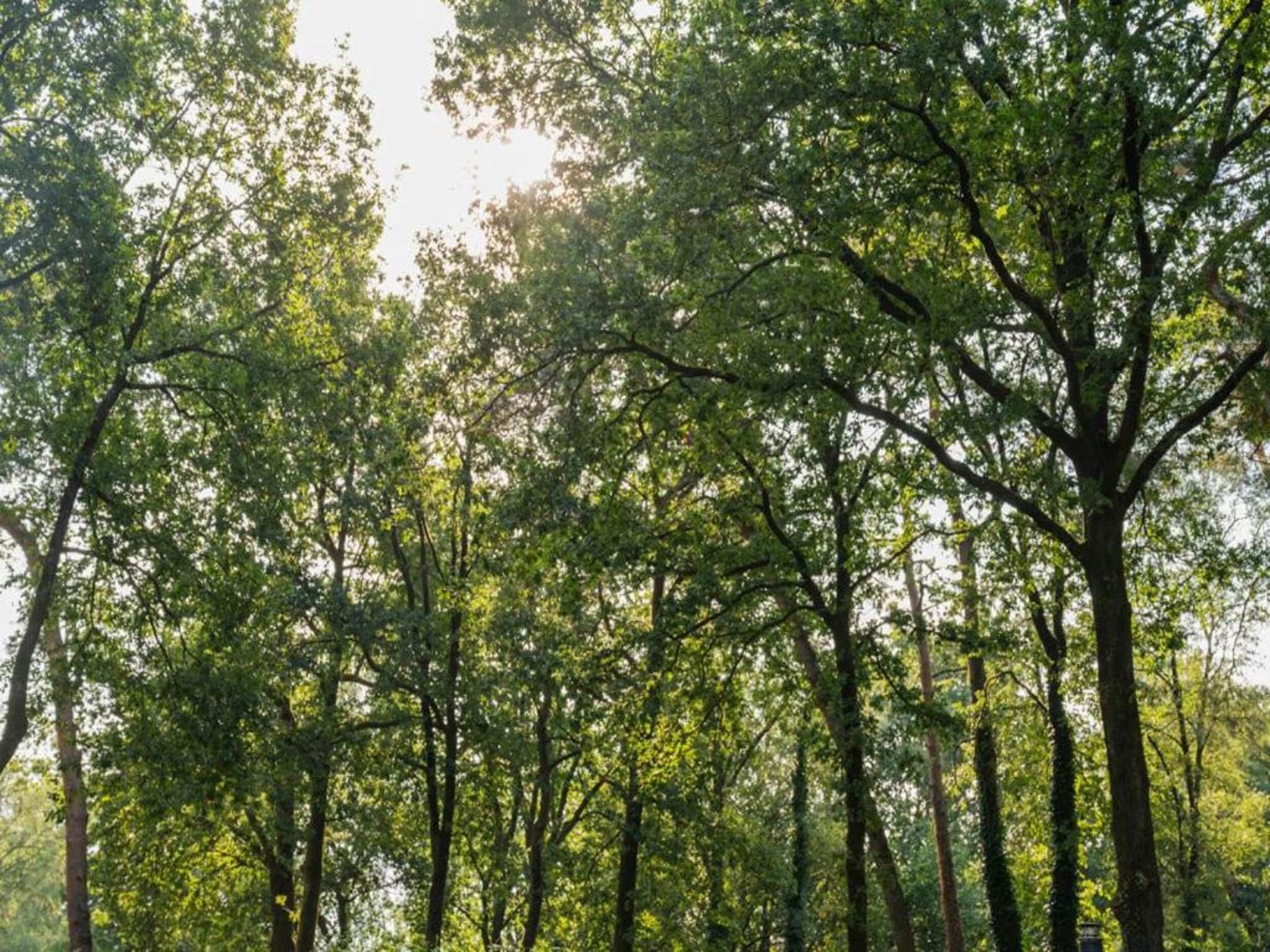 De omgeving van Vakantiepark De Rimboe & De Woeste Hoogte 39 in Hoenderloo