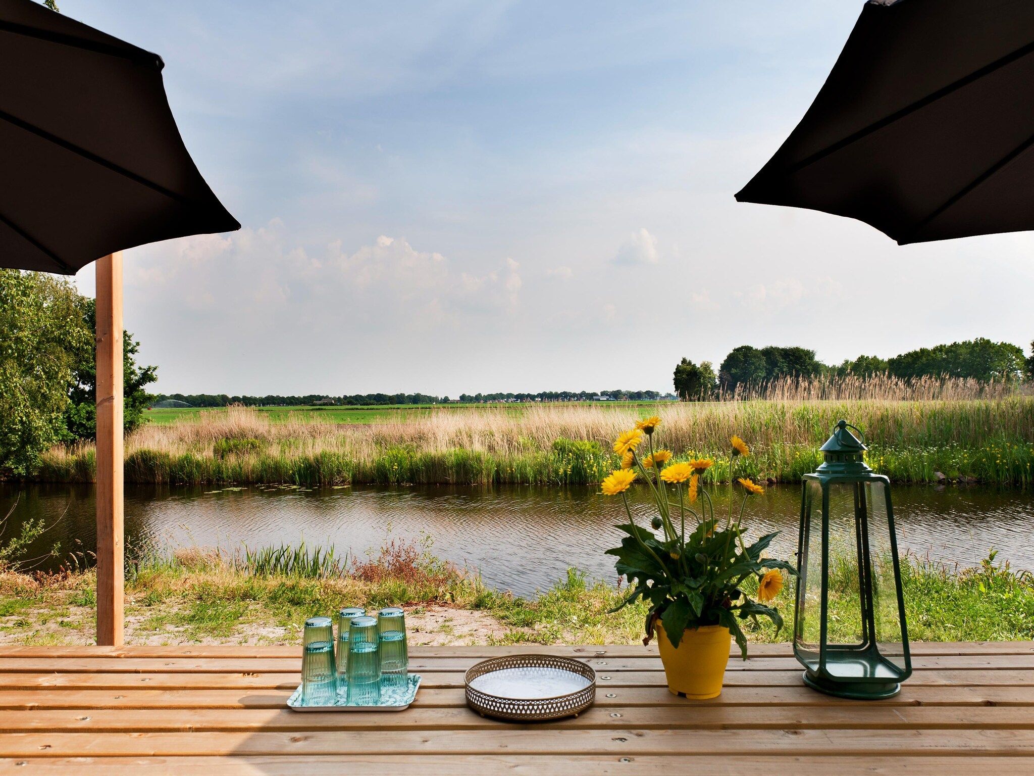 De tuin van 24 pers Pallertshuis Wellness de luxe met sauna en hout gestookte hottub in Groningen