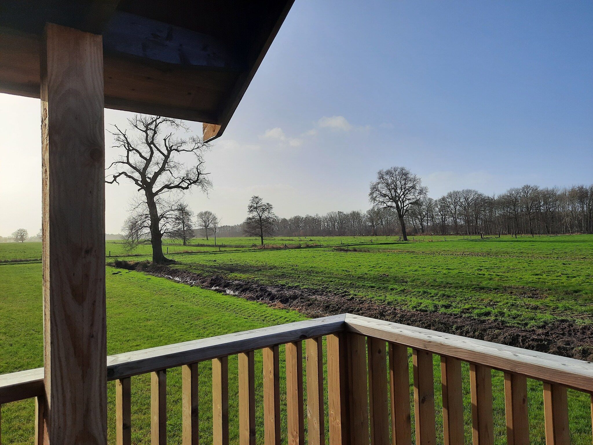 Het uitzicht vanaf Acker Lodges 1 in Ruinerwold