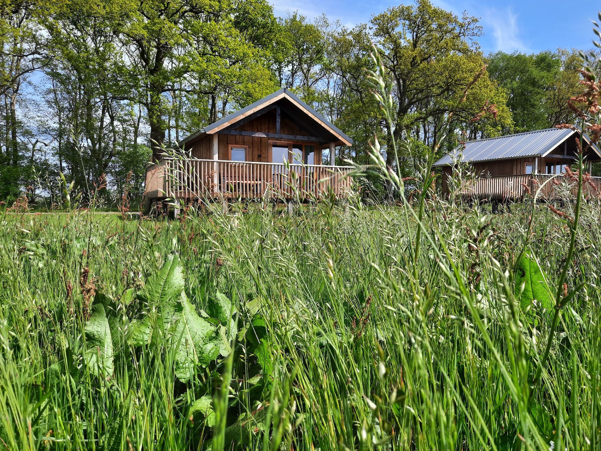 De buitenkant van Acker Lodges 1 in Ruinerwold