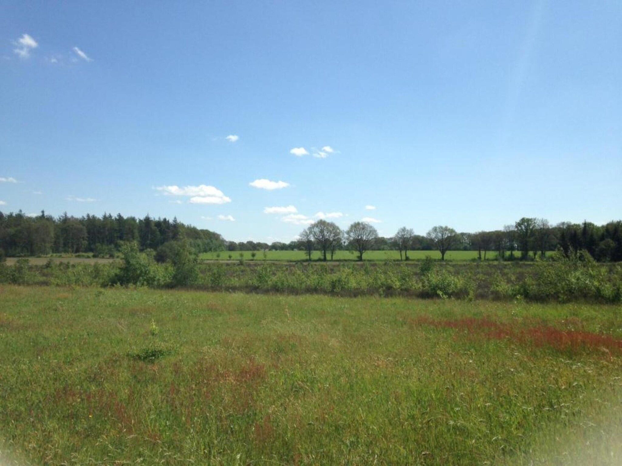 Acker Lodges 1 in Ruinerwold - Foto 39 van 40