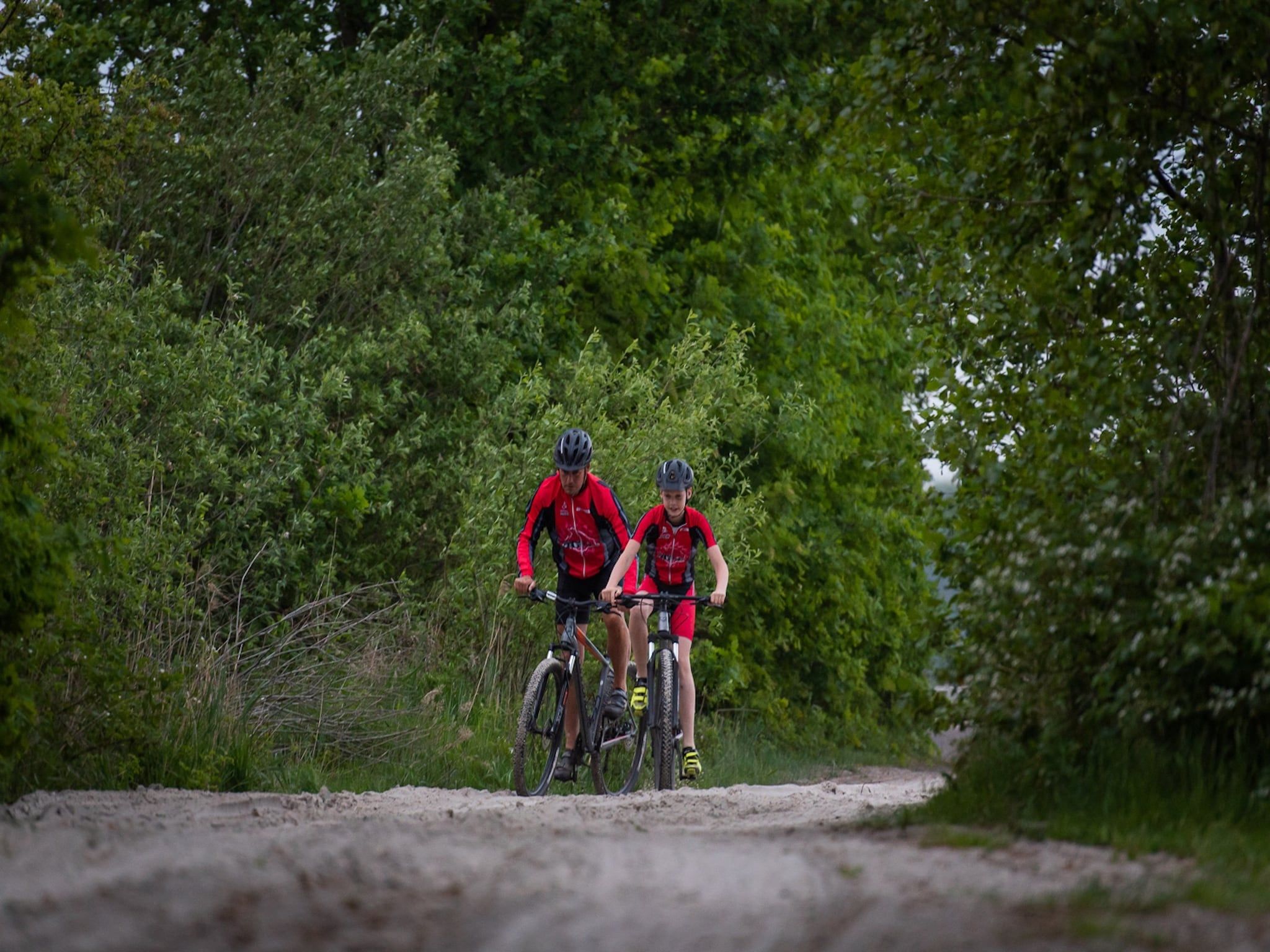 De omgeving van Acker Lodges 2 in Ruinerwold