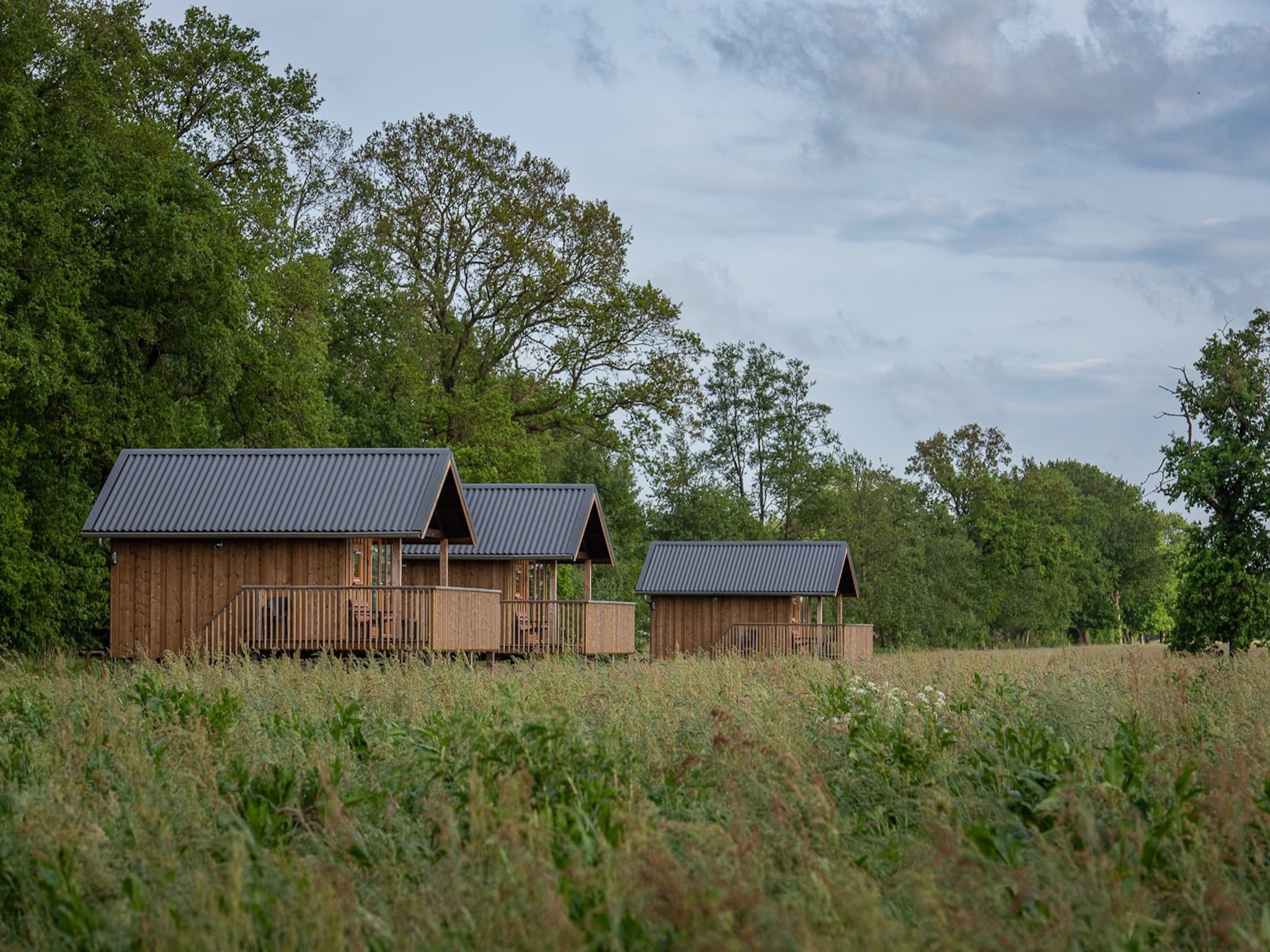 De buitenkant van Acker Lodges 3 in Ruinerwold