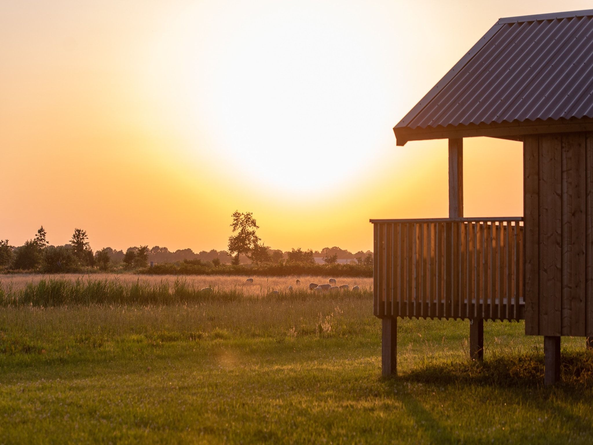 De buitenkant van Acker Lodges 3 in Ruinerwold