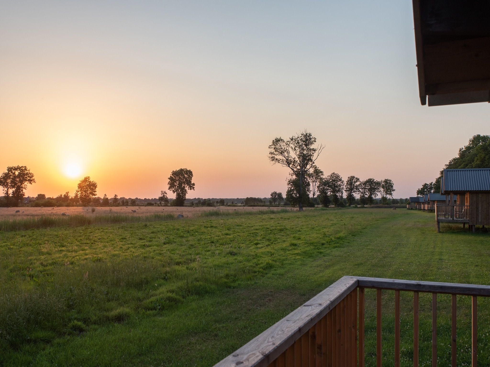 Het uitzicht vanaf Acker Lodges 3 in Ruinerwold