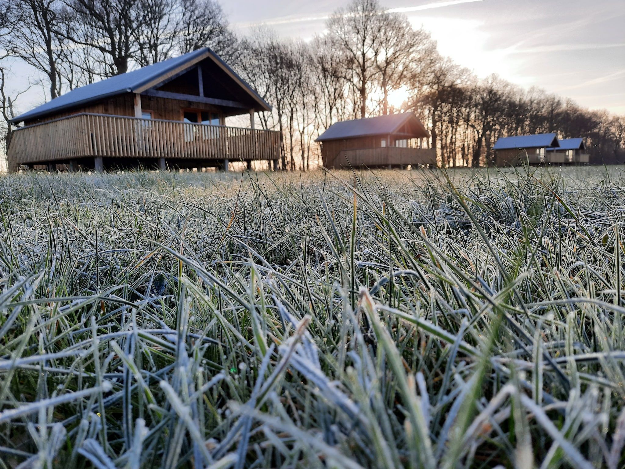 Het uitzicht vanaf Acker Lodges 3 in Ruinerwold