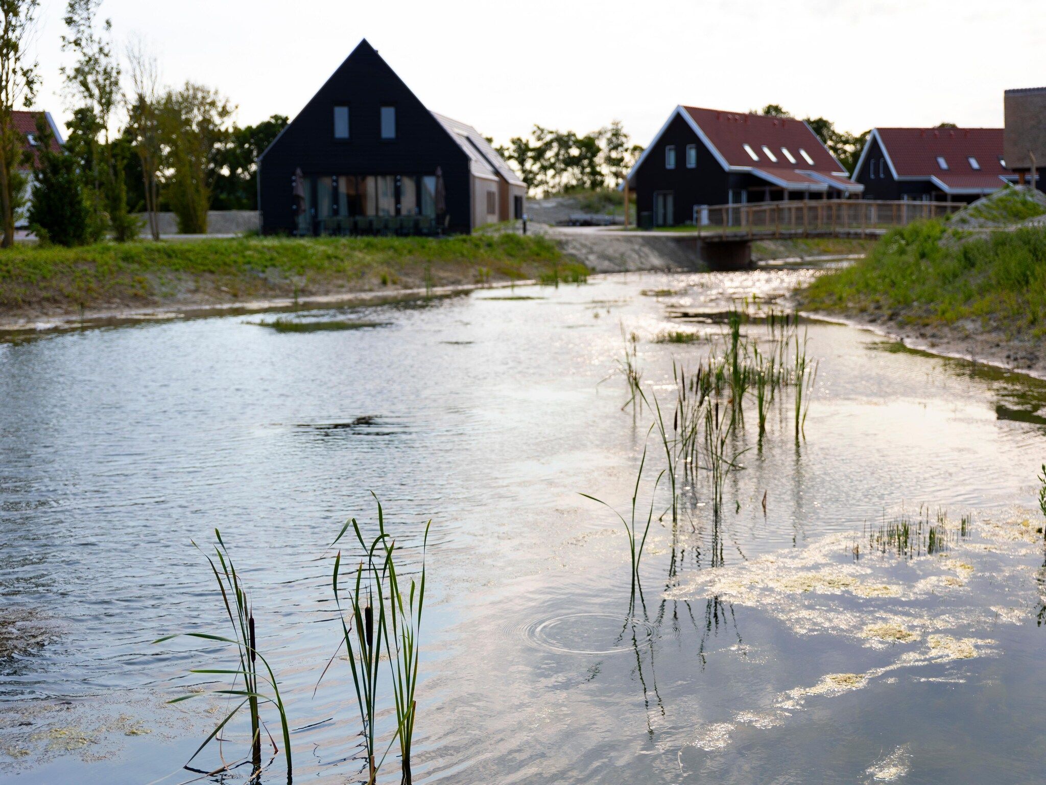 De buitenkant van Resort Nieuwvliet-Bad 13 in Nieuwvliet