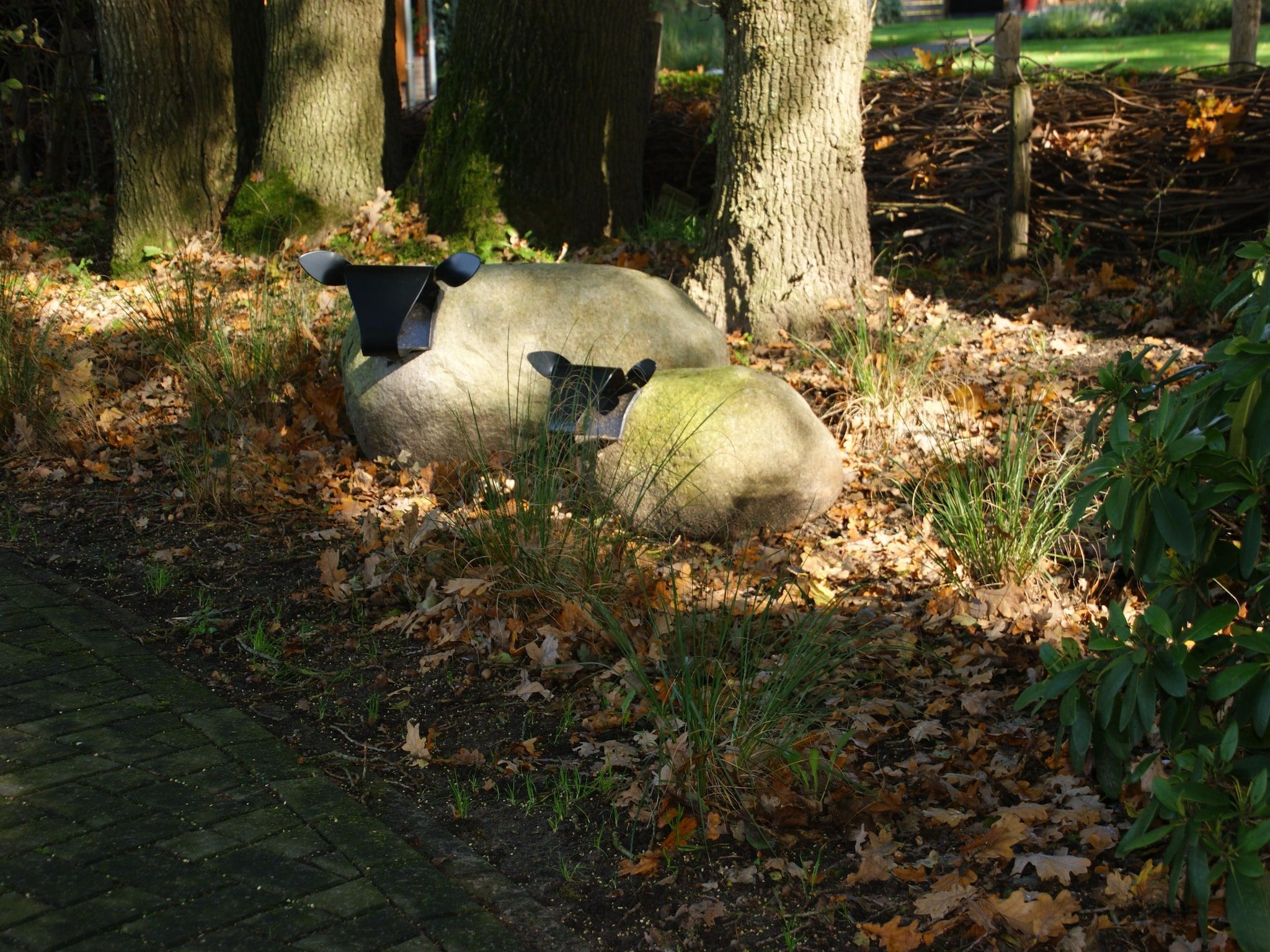 Tentlodge Fazant in Dalerveen - Foto 31 van 35
