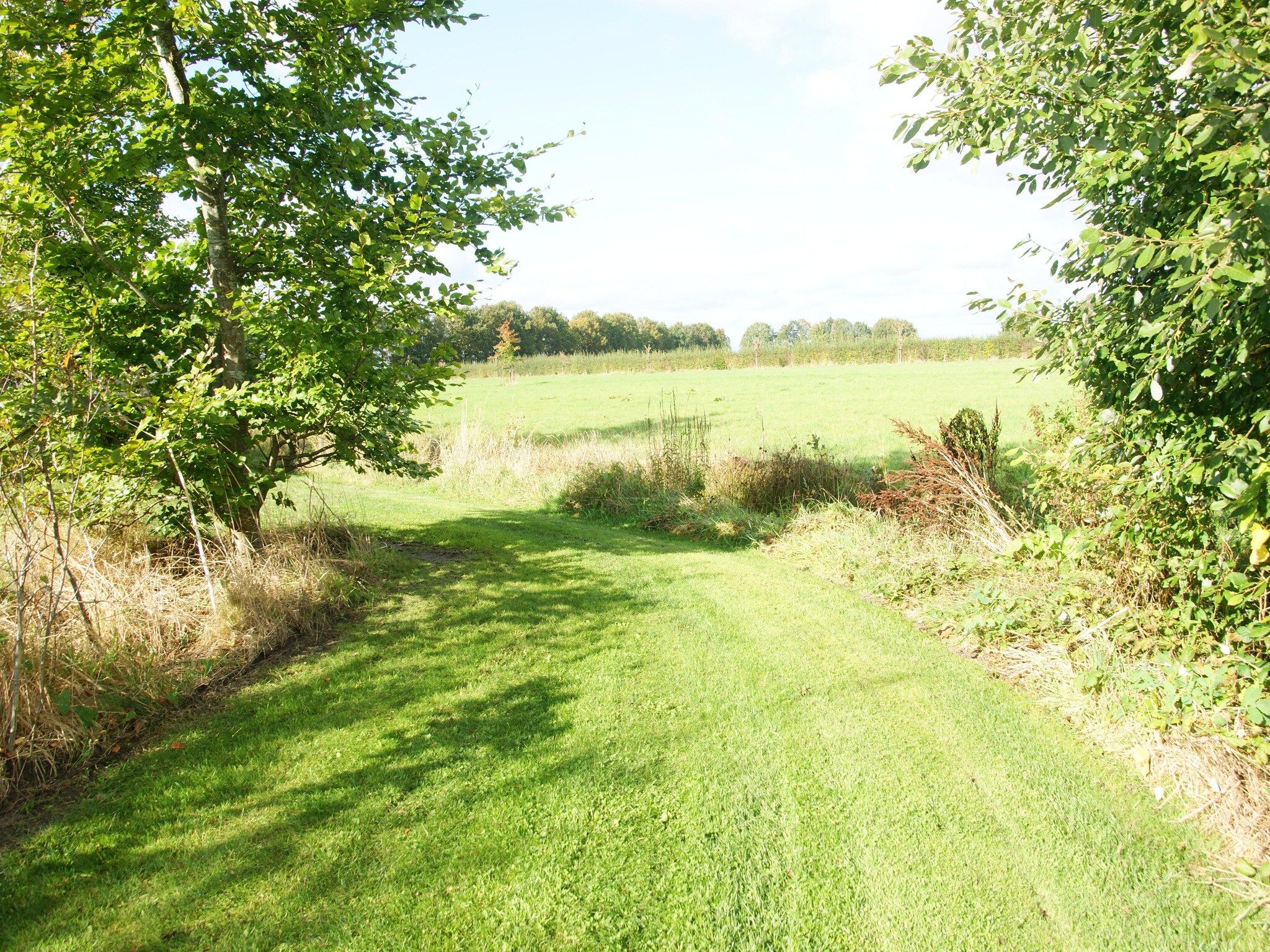 Tentlodge Fazant in Dalerveen - Foto 33 van 35