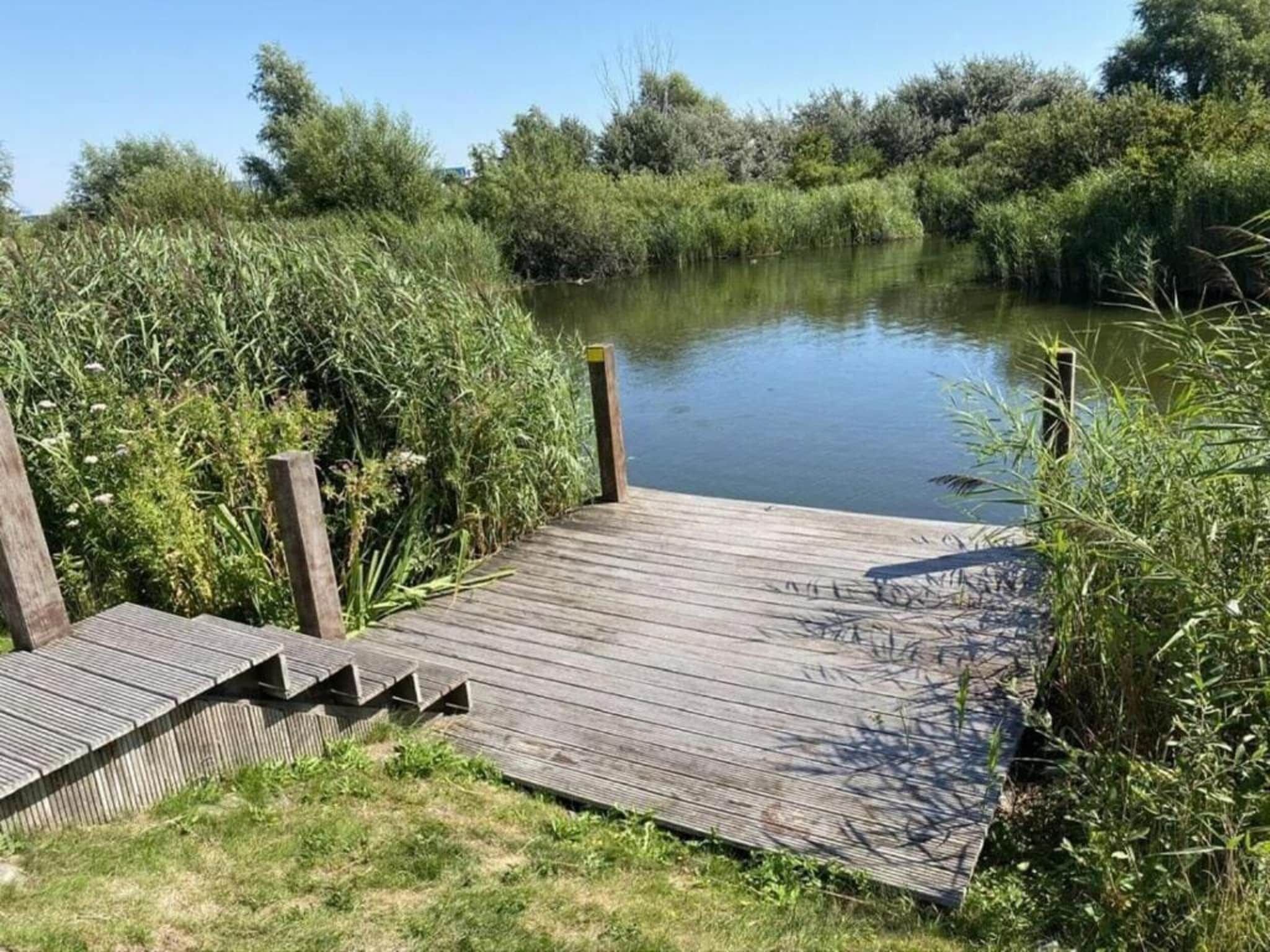 De omgeving van Beachvilla Royaal met Sauna - 10 personen in Makkum