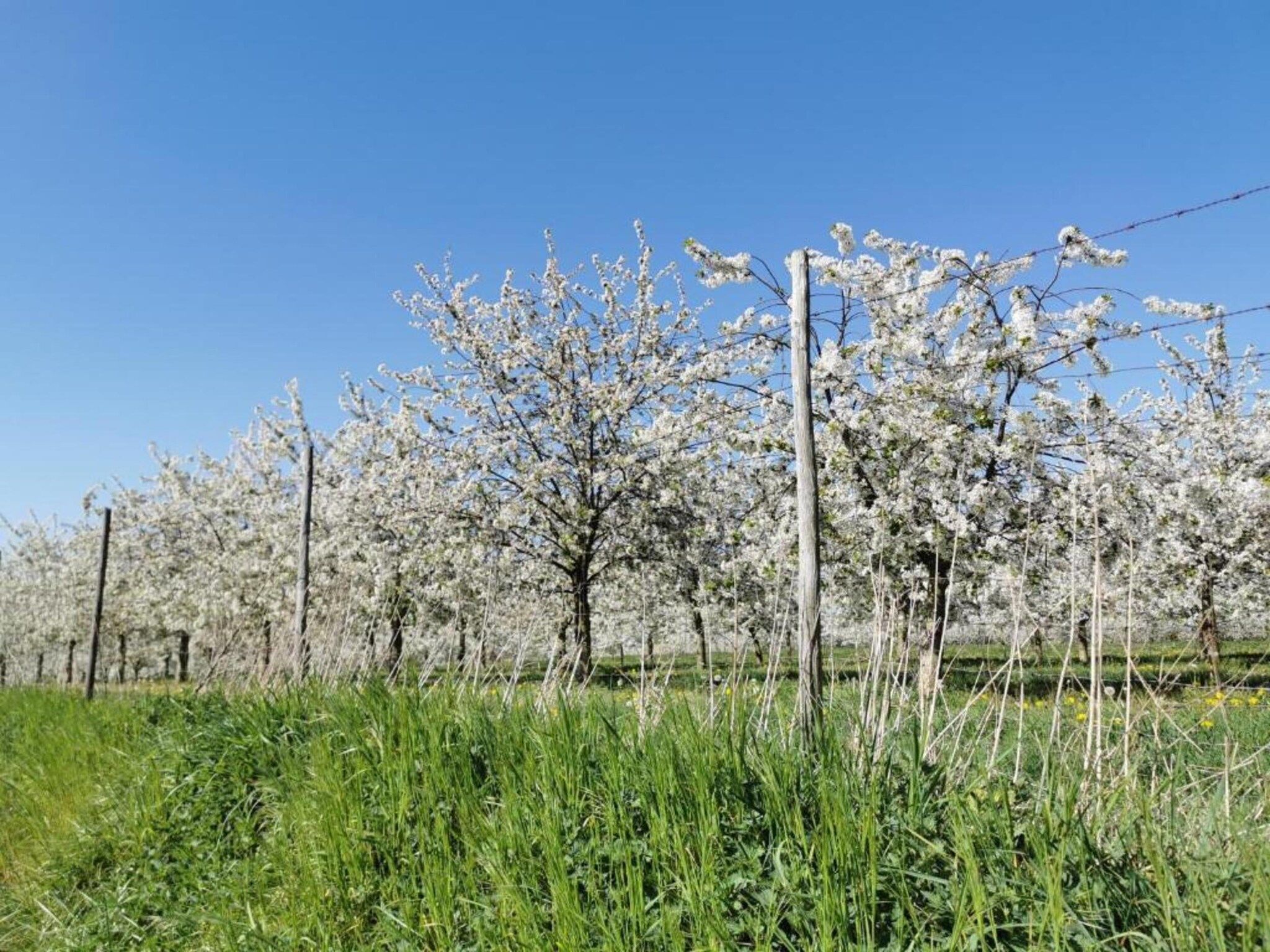 Resort Maastricht 39 in Maastricht - Foto 34 van 39