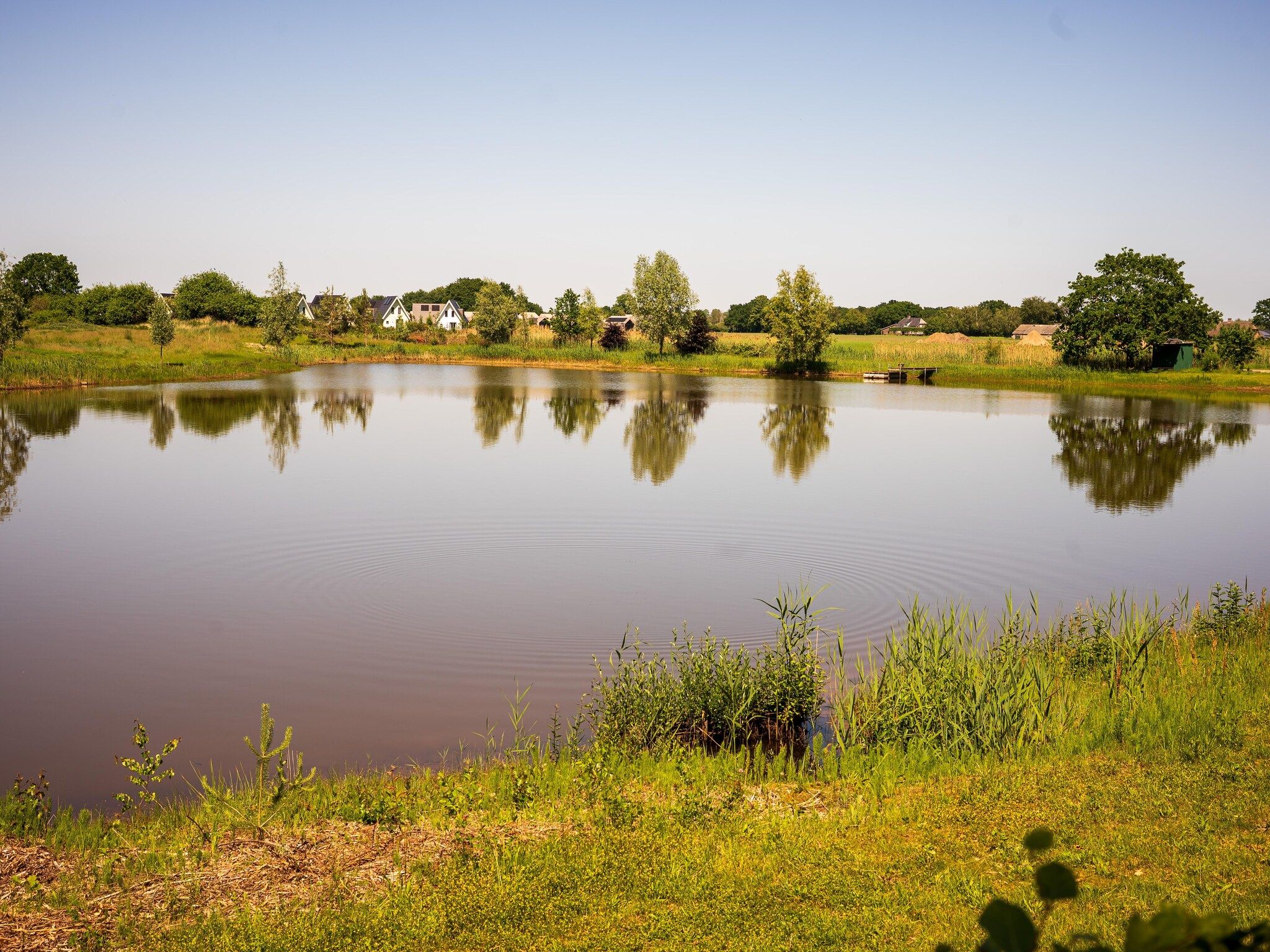 De omgeving van Vakantiehuisje 19 in Someren-Heide