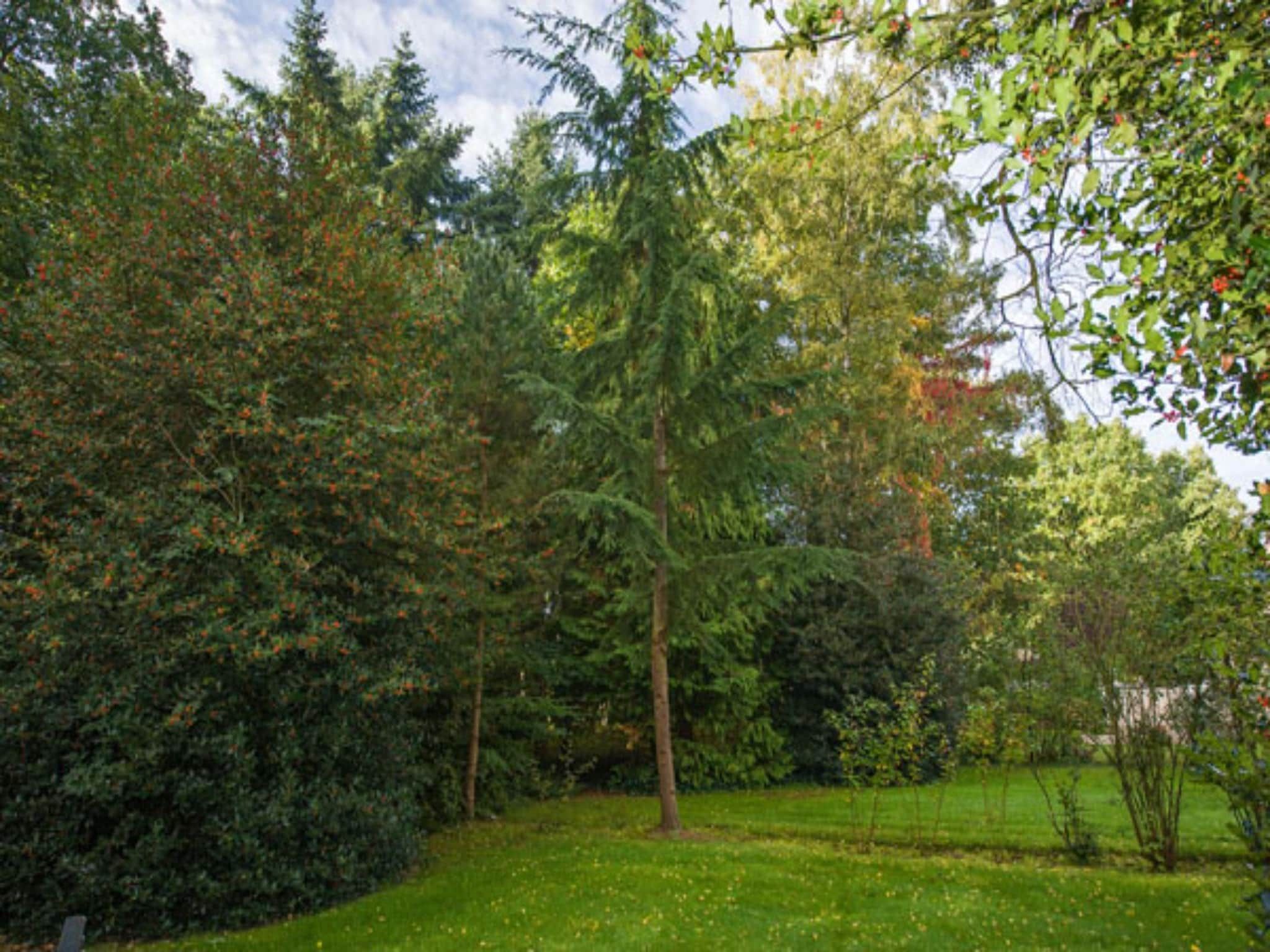 De tuin van Vakantiepark Hellendoorn 2 in Hellendoorn