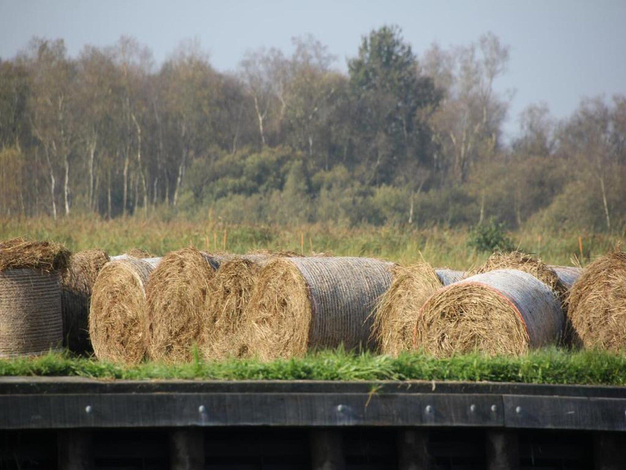 Waterstaete Ossenzijl 4 in Ossenzijl - Foto 34 van 37