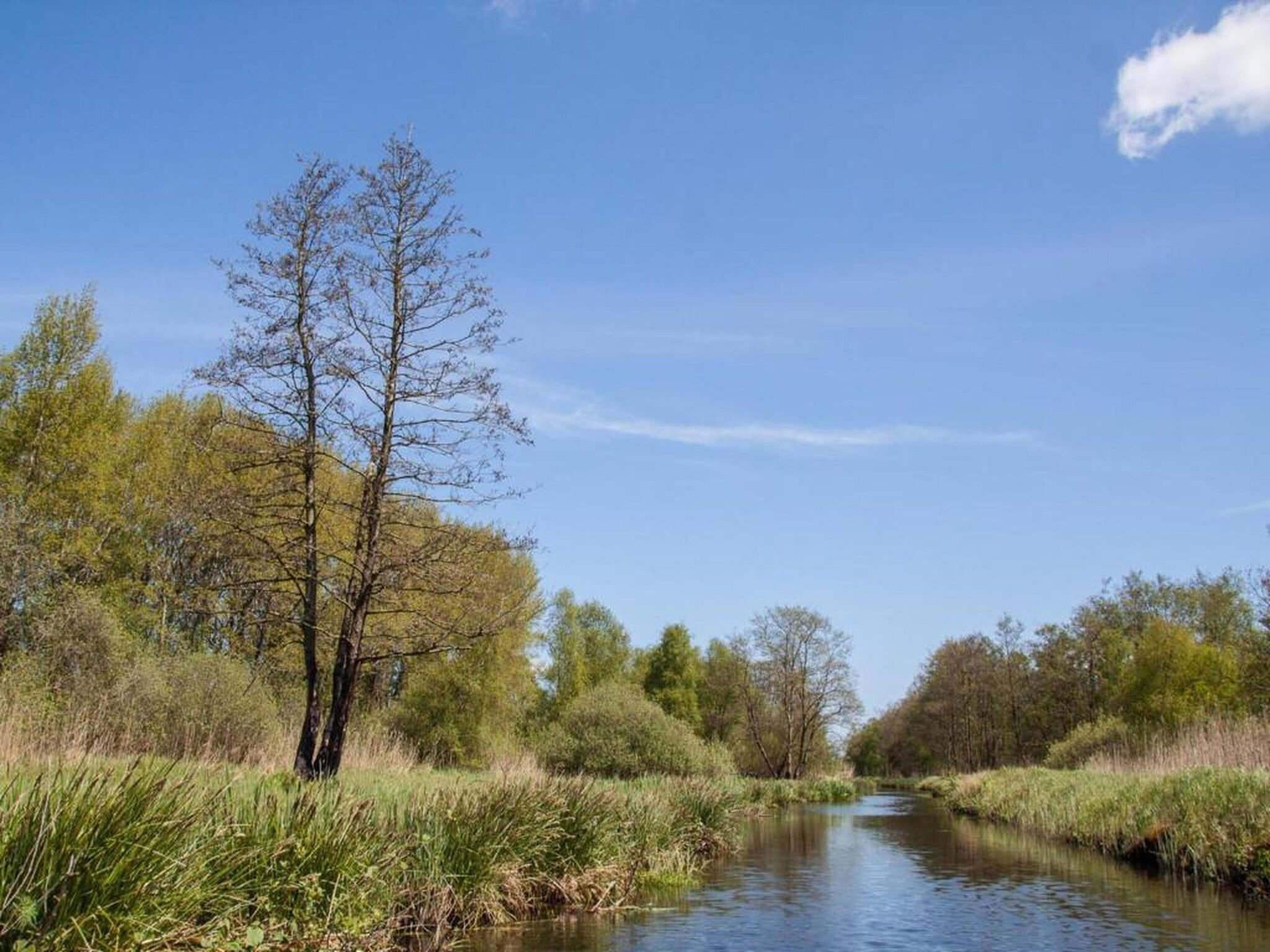 Waterstaete Ossenzijl 4 in Ossenzijl - Foto 35 van 37