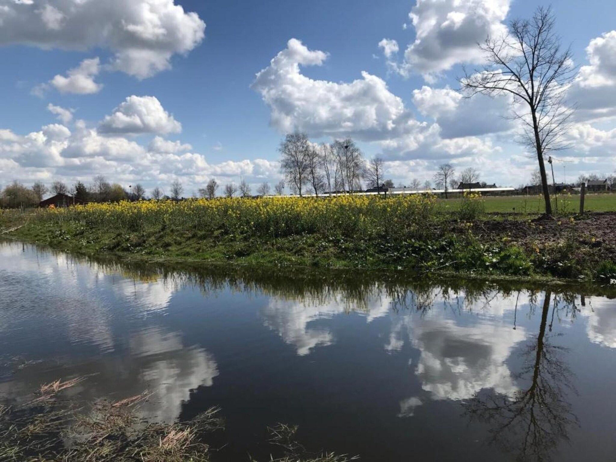 De omgeving van Vakantiepark Schaijk 10 in Schaijk