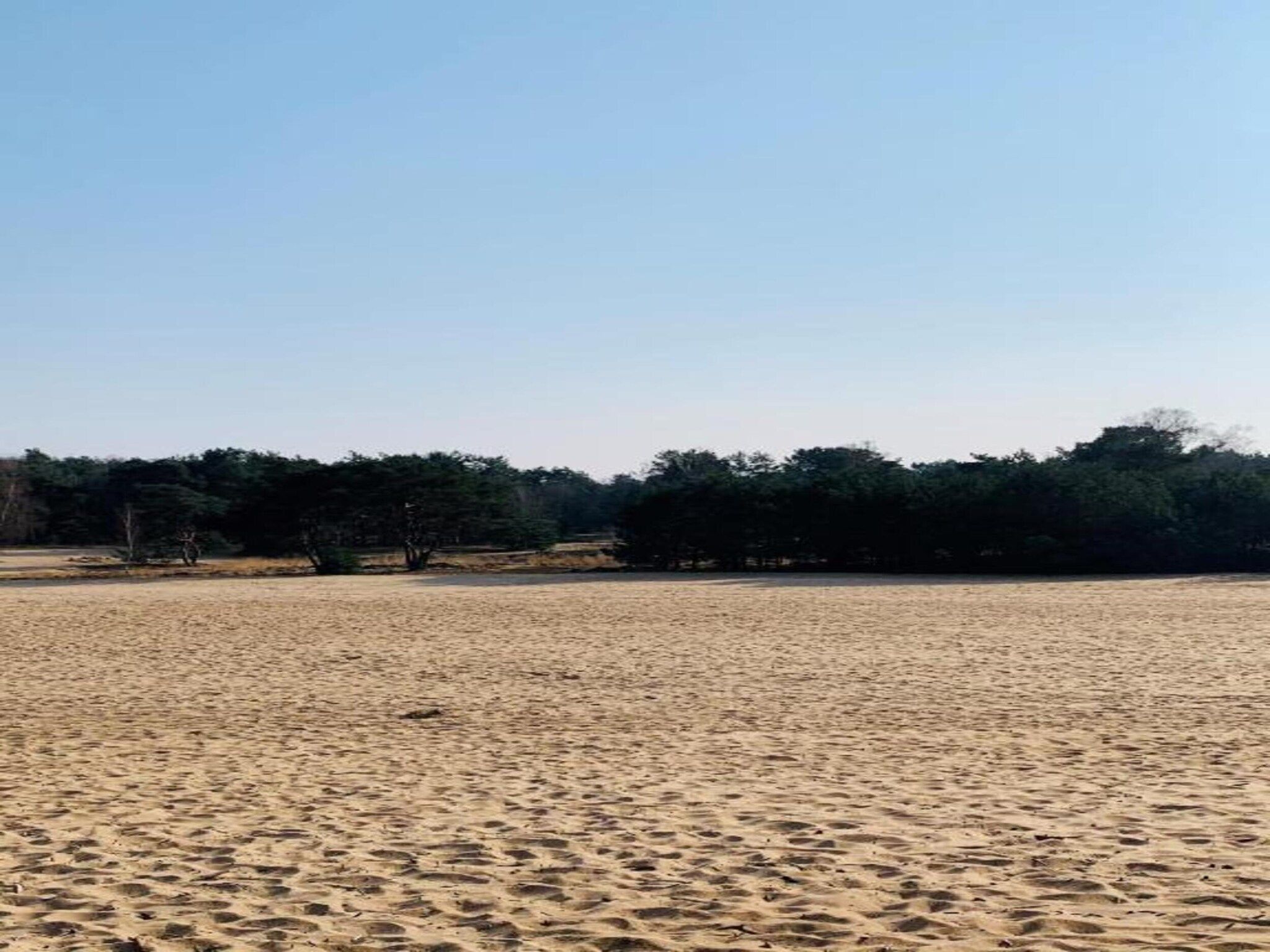 De omgeving van Vakantiepark Schaijk 10 in Schaijk