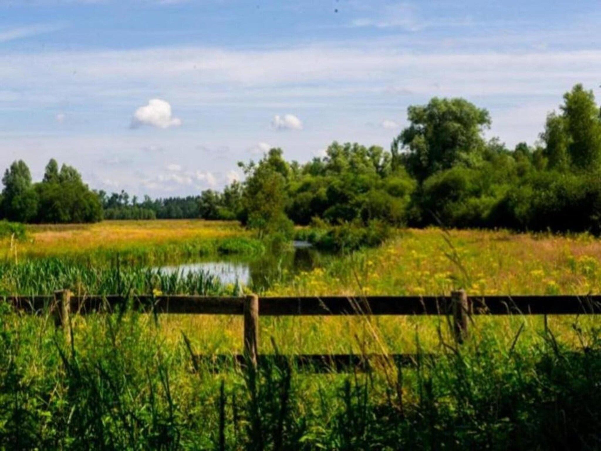 De omgeving van Vakantiepark Schaijk 10 in Schaijk