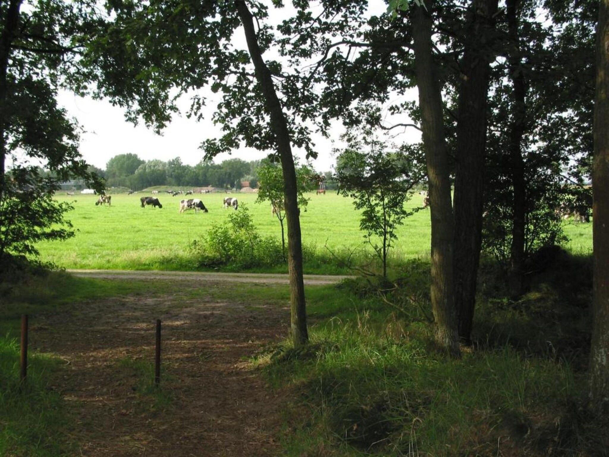 De omgeving van Vakantiepark Schaijk 11 in Schaijk