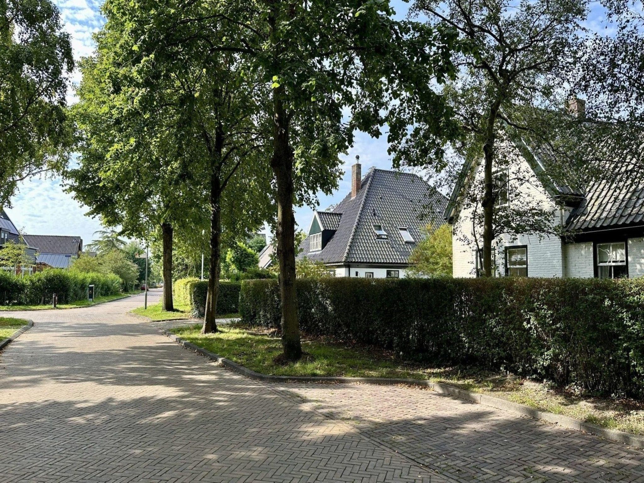 Vakantiehuis Fijn in Bergen - Foto 17 van 20