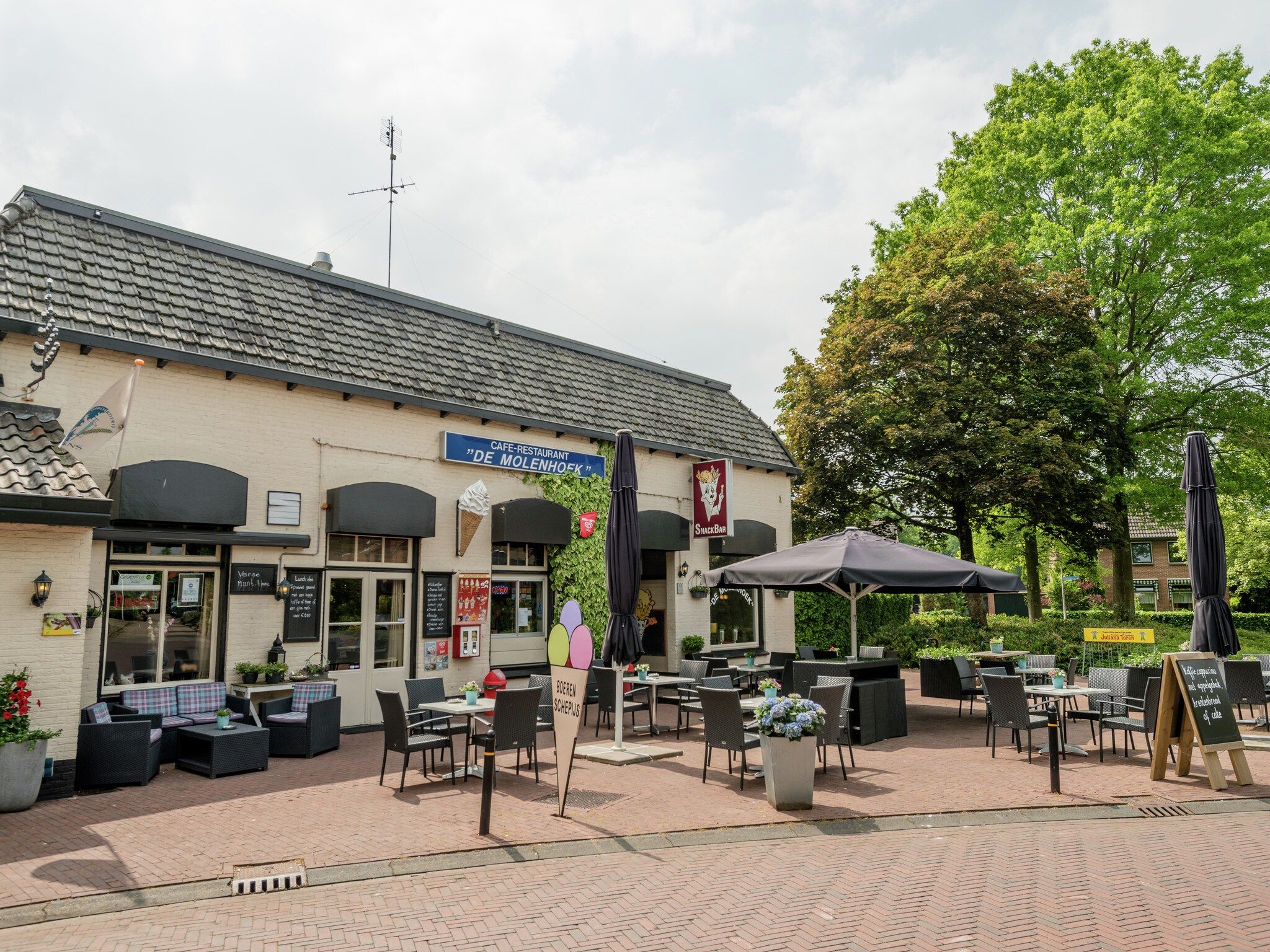 De omgeving van Koe in de Kost 4 in Heeten