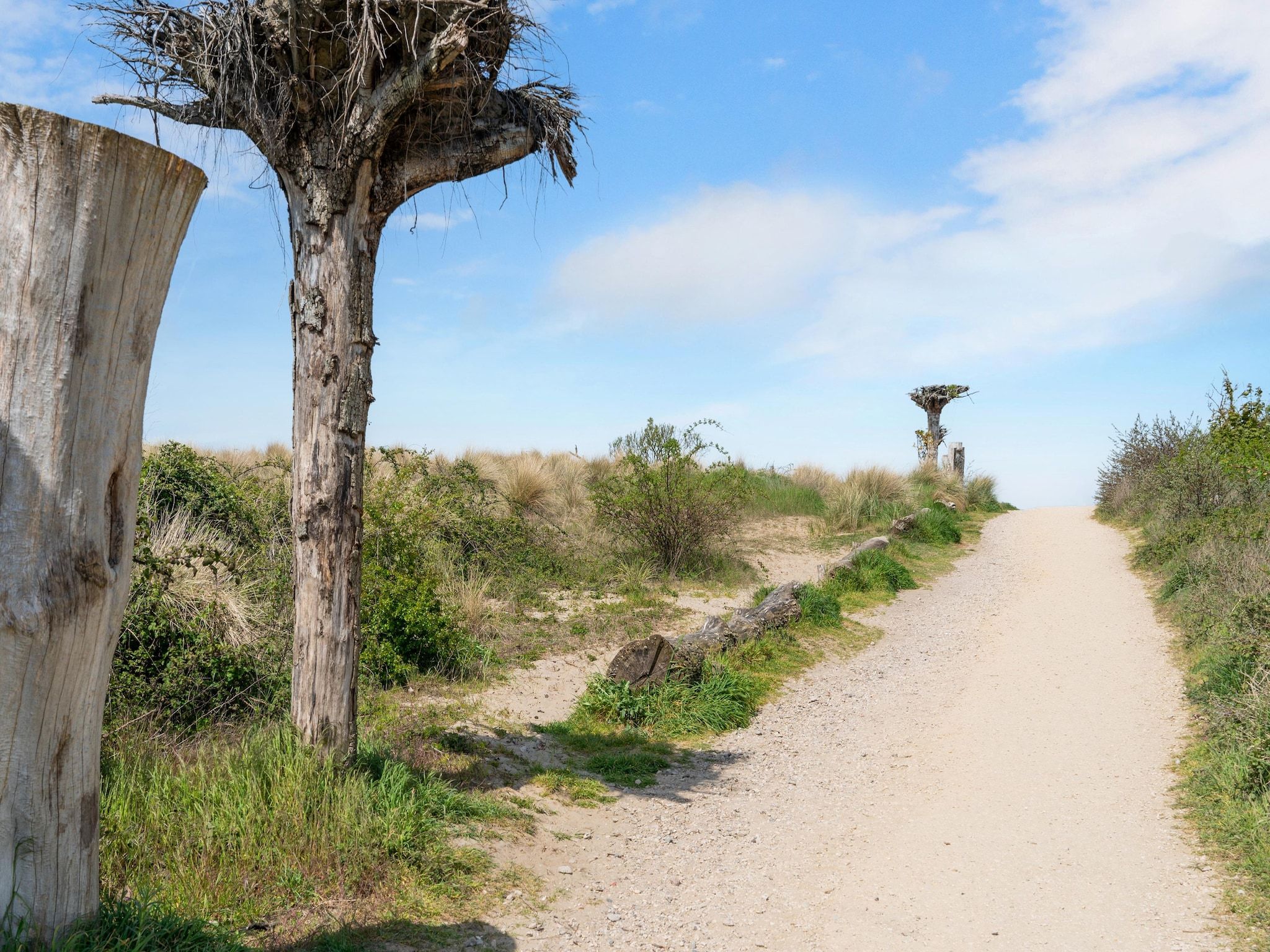 De omgeving van Fantail in Goedereede