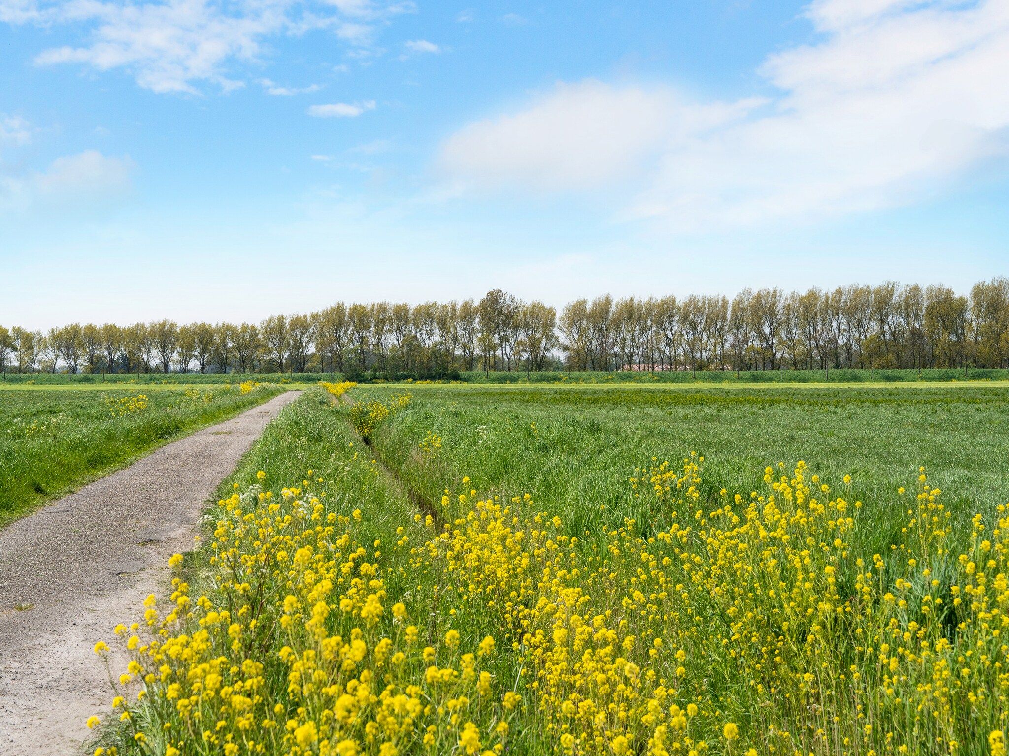 De omgeving van Fantail in Goedereede