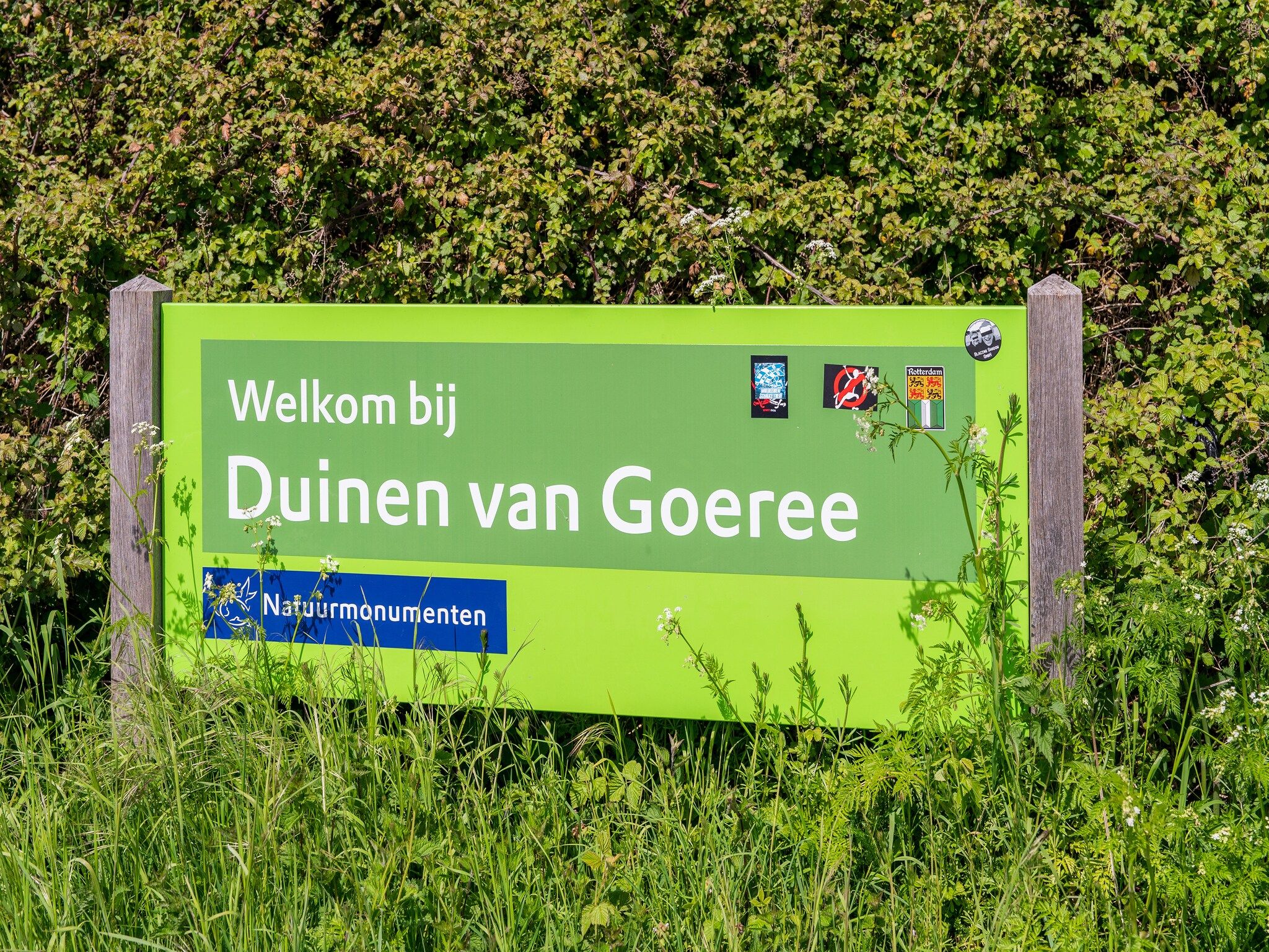 Fantail in Goedereede - Foto 28 van 39
