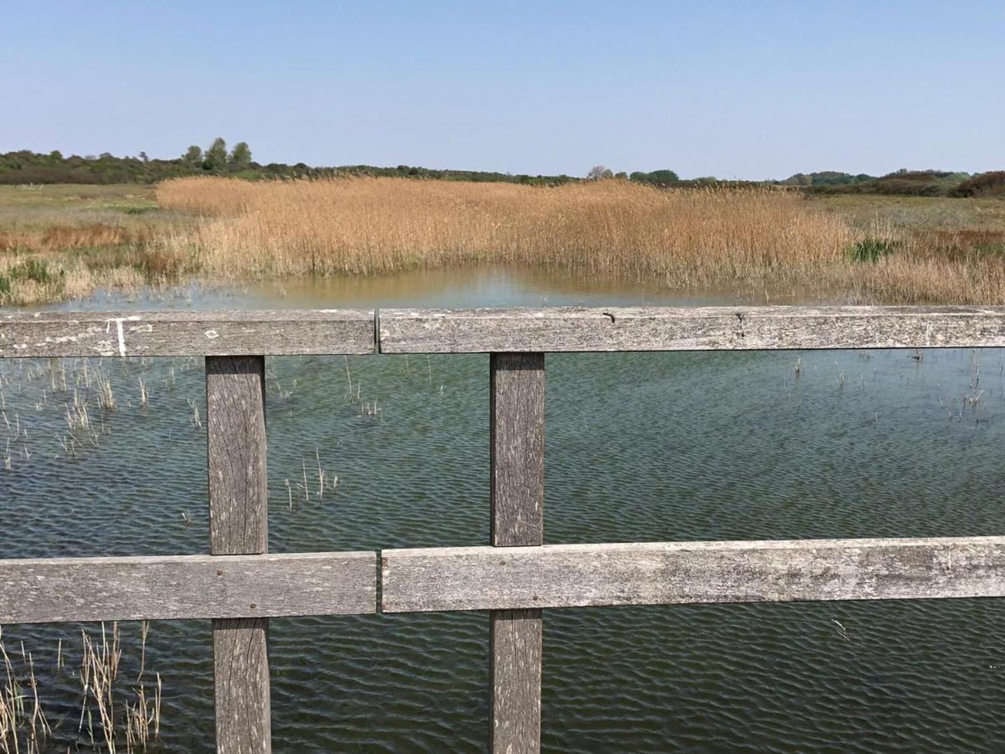 De omgeving van Fantail in Goedereede