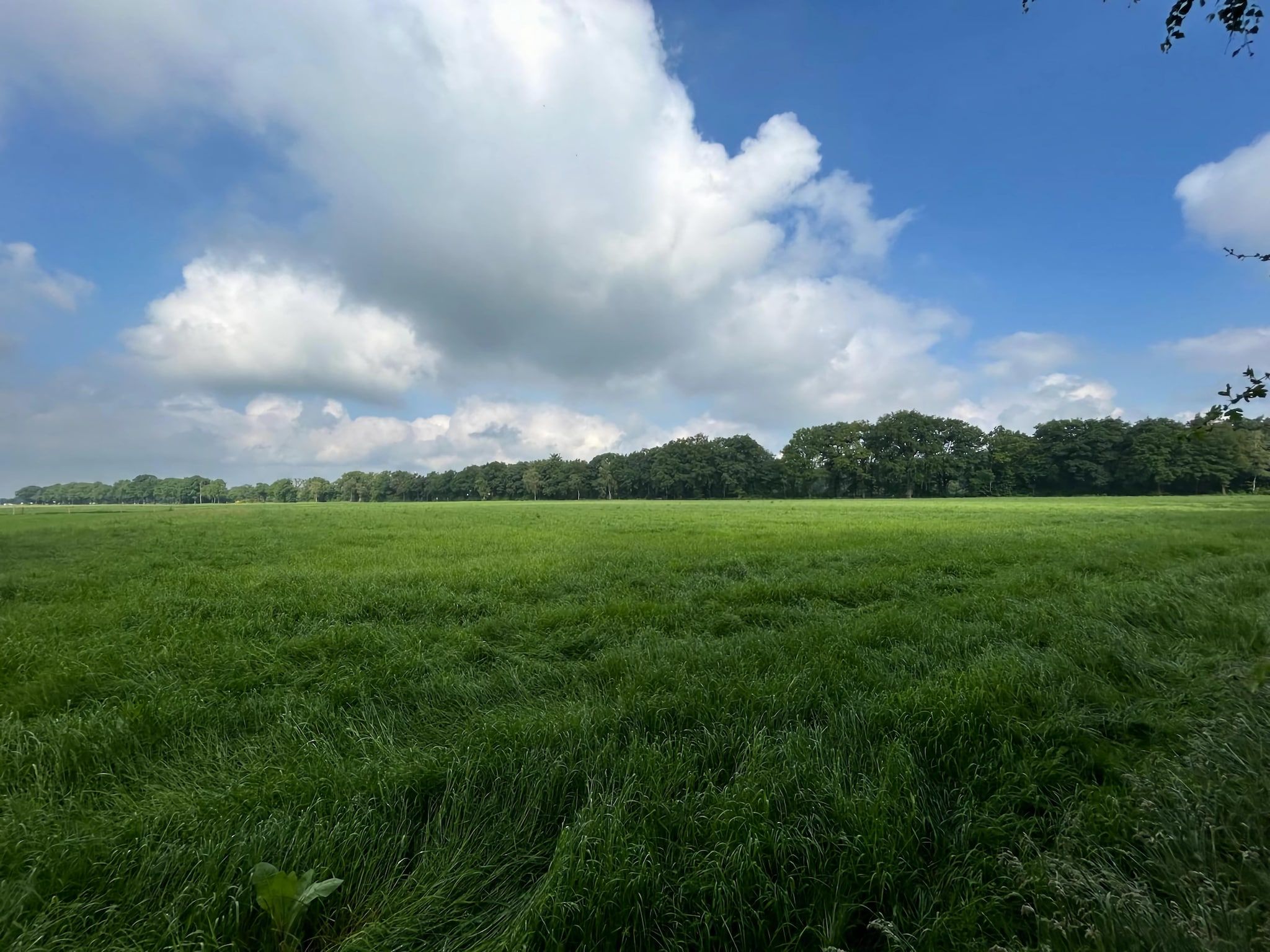 Bos suite in Zelhem - Foto 30 van 38